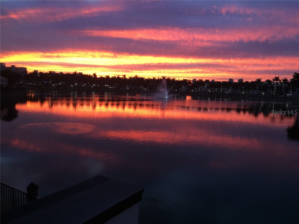 6294 Bahia Del Mar Circle #207 Saint Petersburg FL 33715 TB8427459 image53