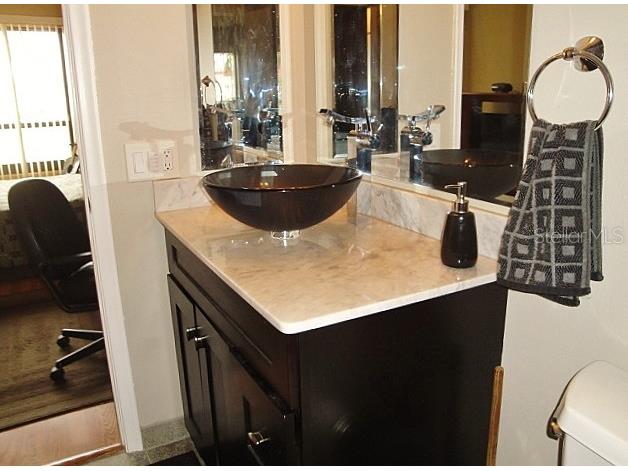 6294 Bahia Del Mar Circle #215 Saint Petersburg FL 33715 U8223316 image20