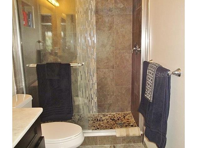 6294 Bahia Del Mar Circle #215 Saint Petersburg FL 33715 U8223316 image21