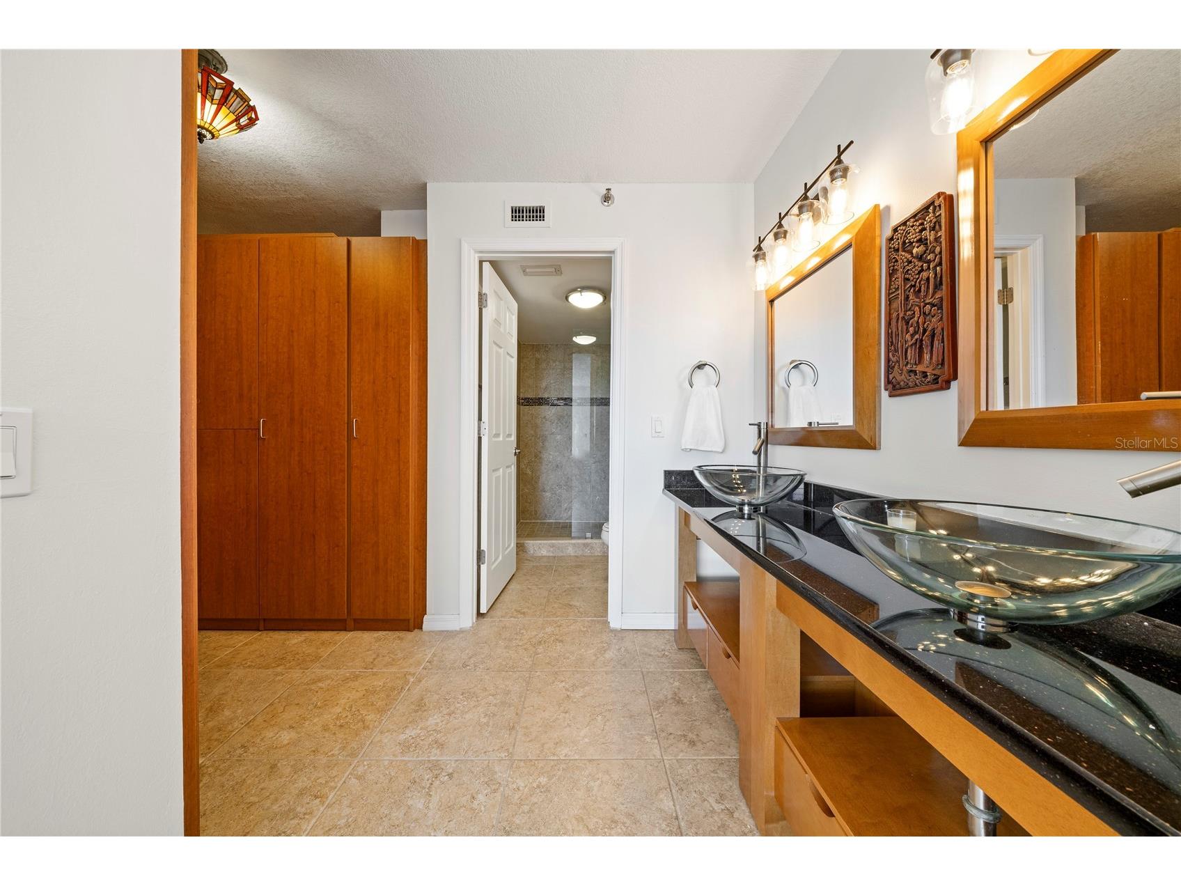 6294 Bahia Del Mar Circle #904 Saint Petersburg FL 33715 - BOCA CIEGA BAY TB8506544 image10