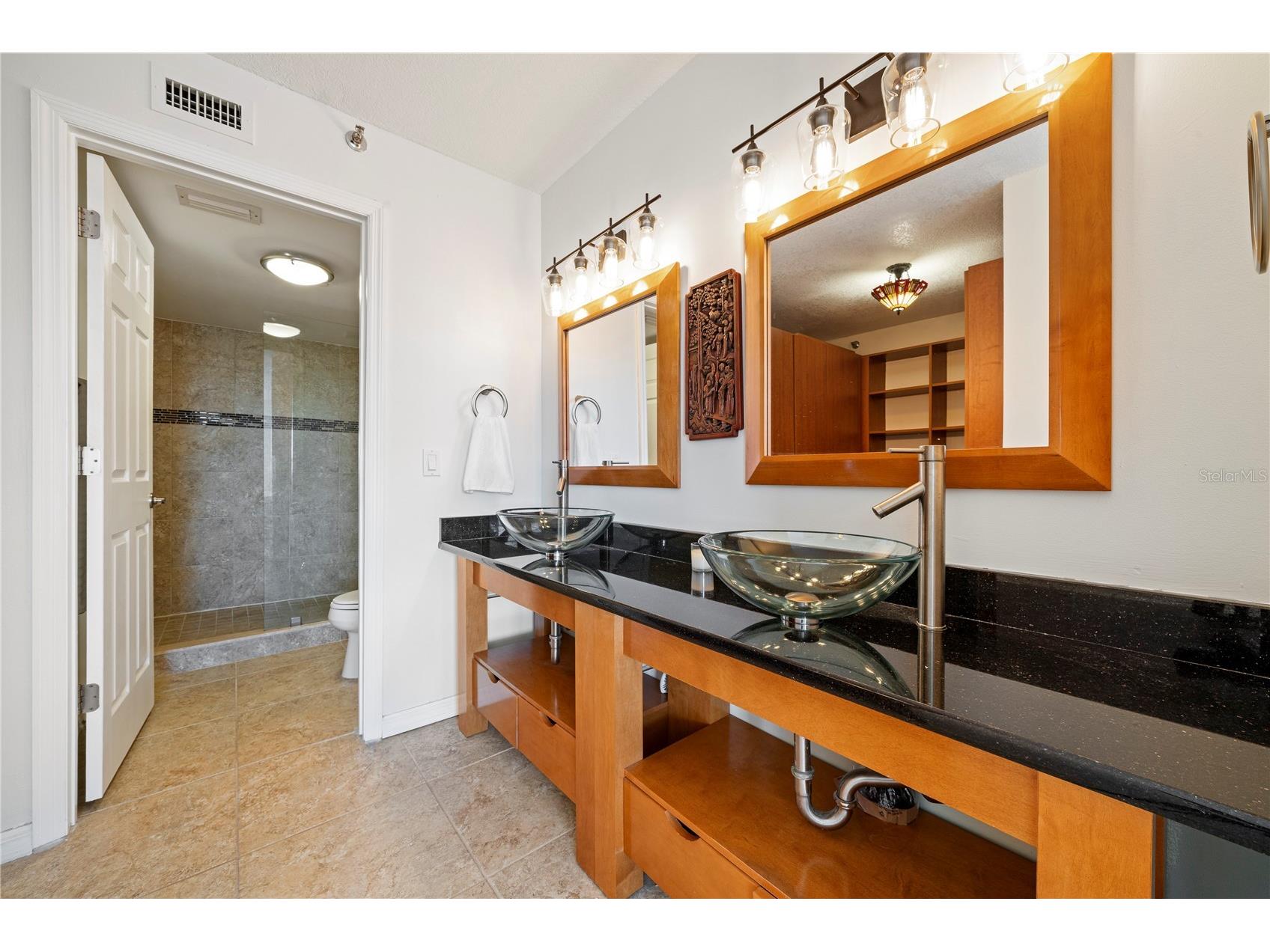 6294 Bahia Del Mar Circle #904 Saint Petersburg FL 33715 - BOCA CIEGA BAY TB8506544 image11