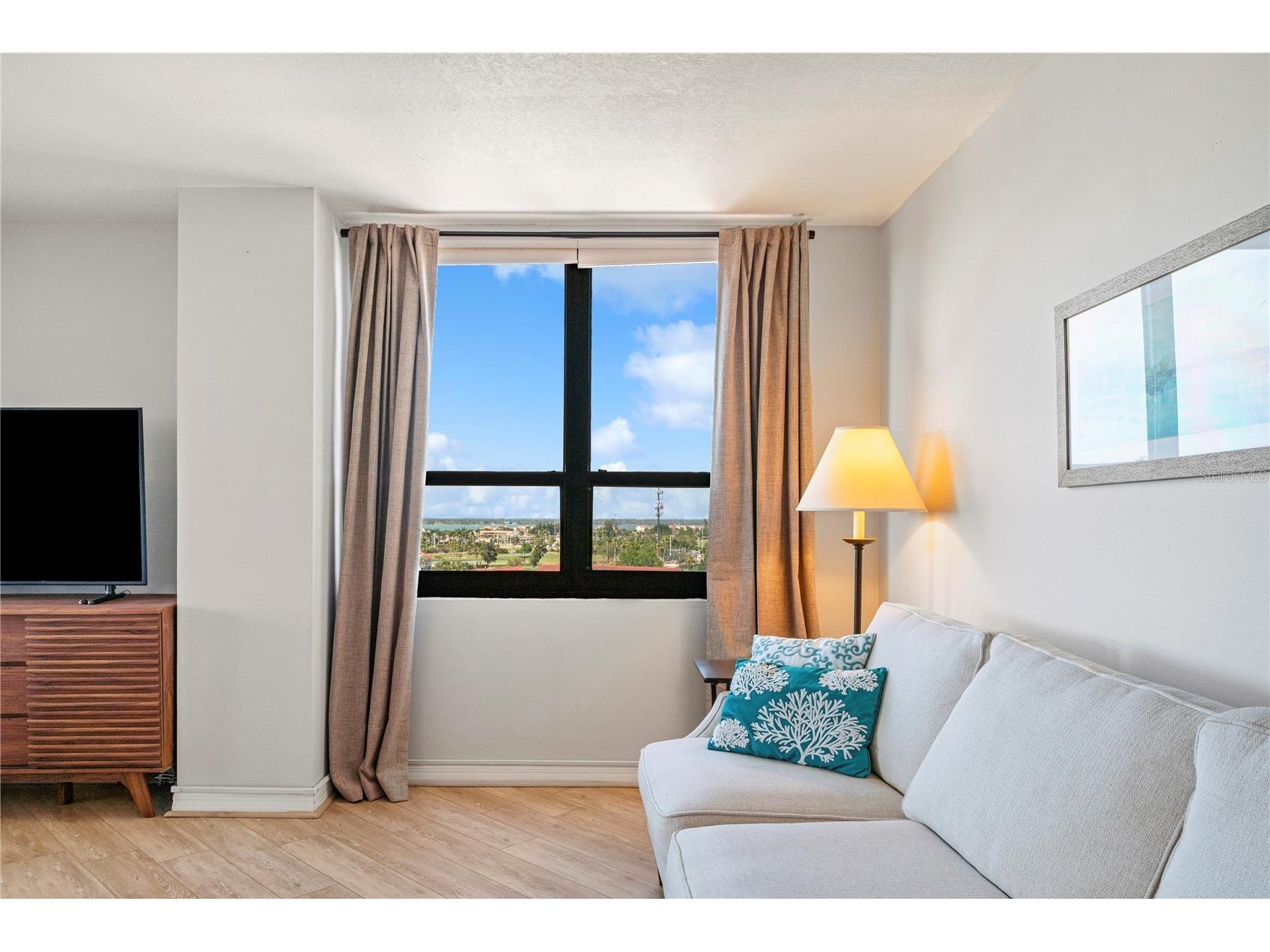 6294 Bahia Del Mar Circle #904 Saint Petersburg FL 33715 - BOCA CIEGA BAY TB8506544 image19