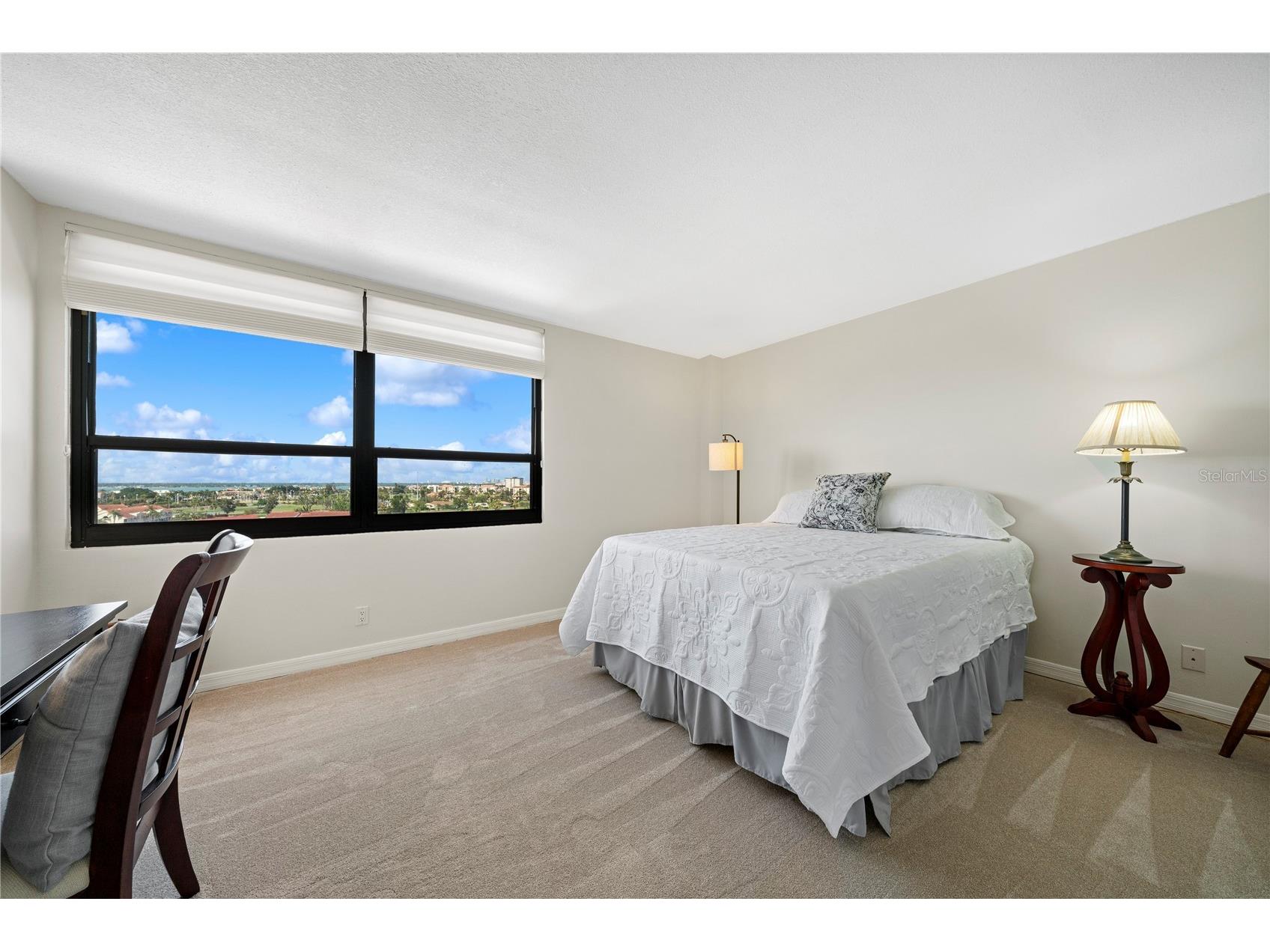 6294 Bahia Del Mar Circle #904 Saint Petersburg FL 33715 - BOCA CIEGA BAY TB8506544 image33