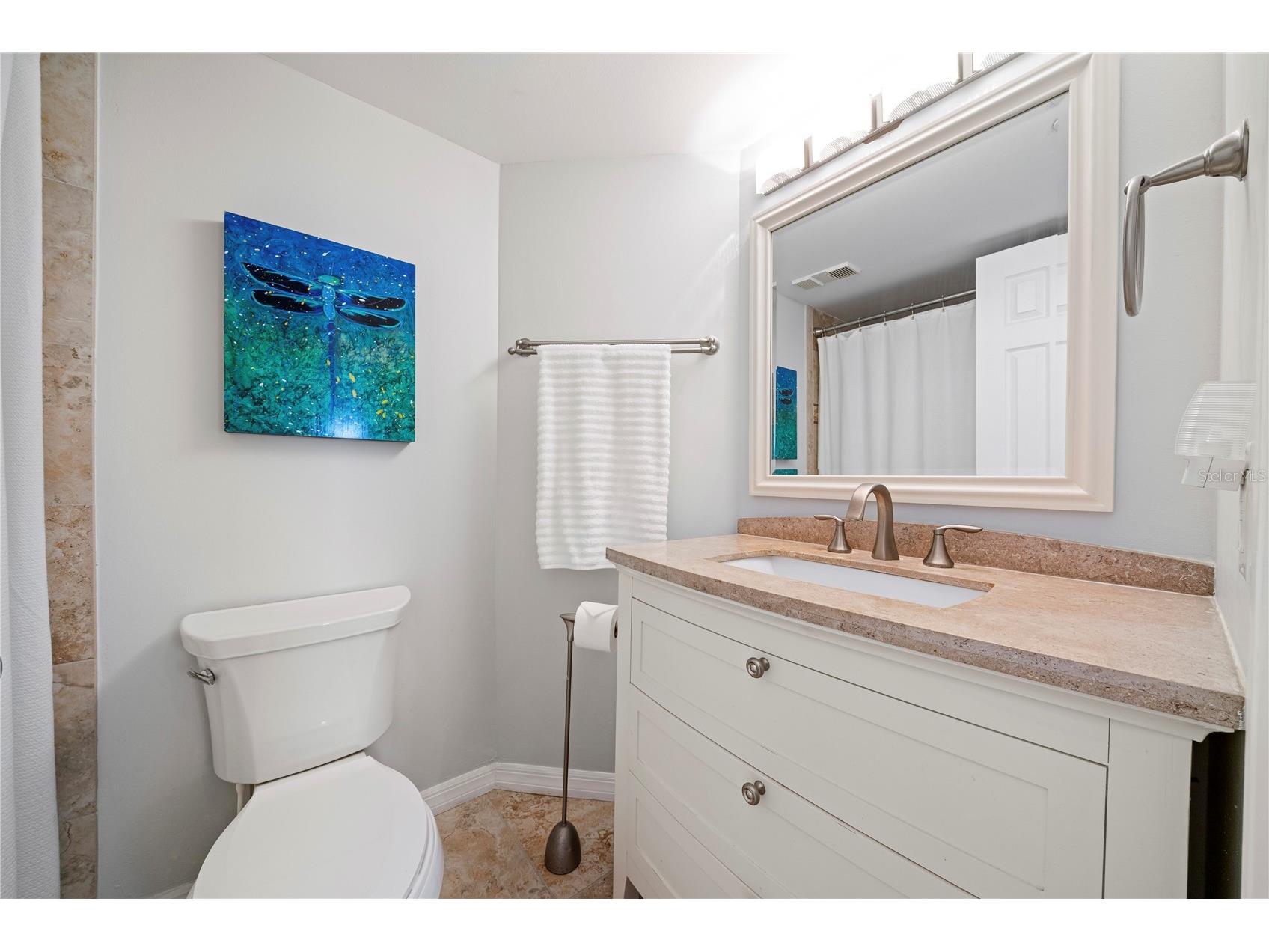 6294 Bahia Del Mar Circle #904 Saint Petersburg FL 33715 - BOCA CIEGA BAY TB8506544 image37