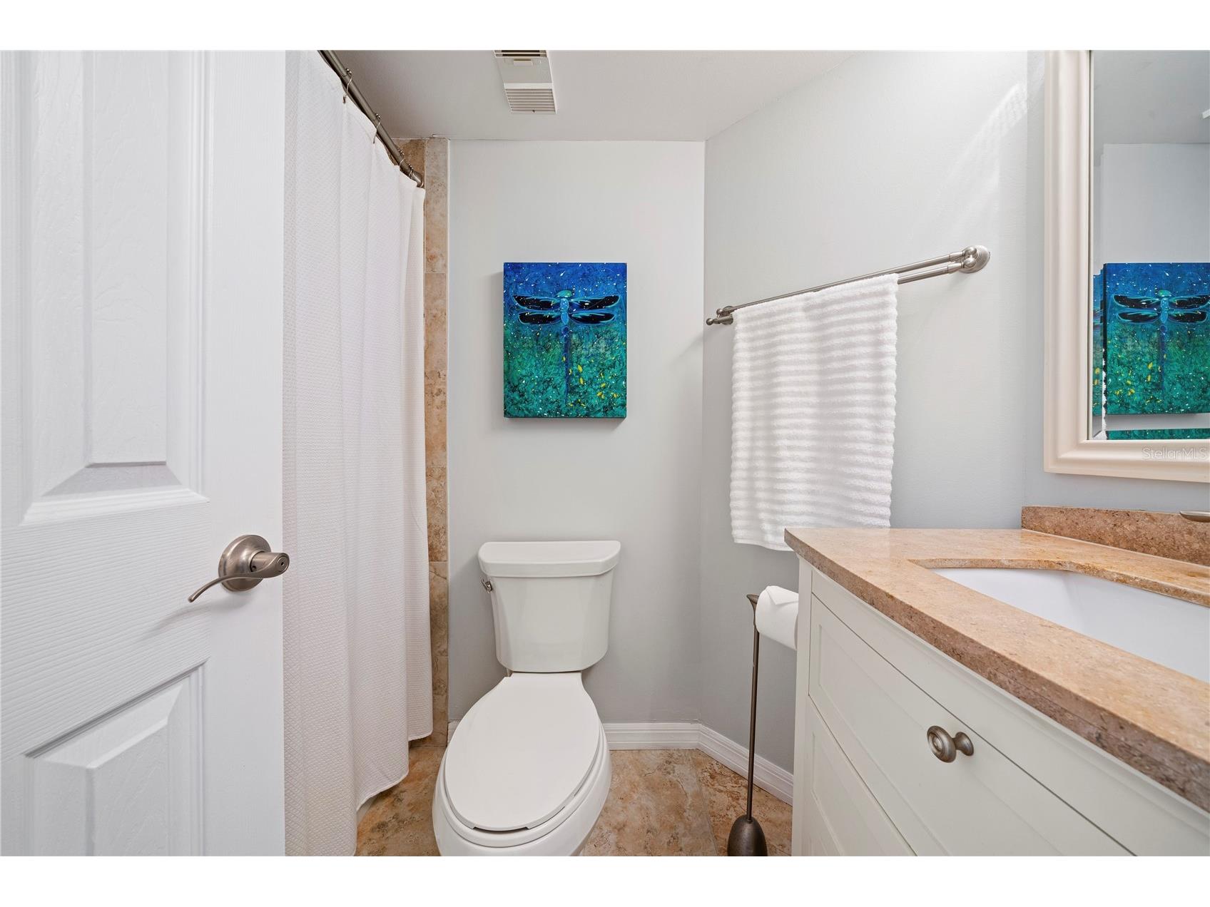 6294 Bahia Del Mar Circle #904 Saint Petersburg FL 33715 - BOCA CIEGA BAY TB8506544 image38