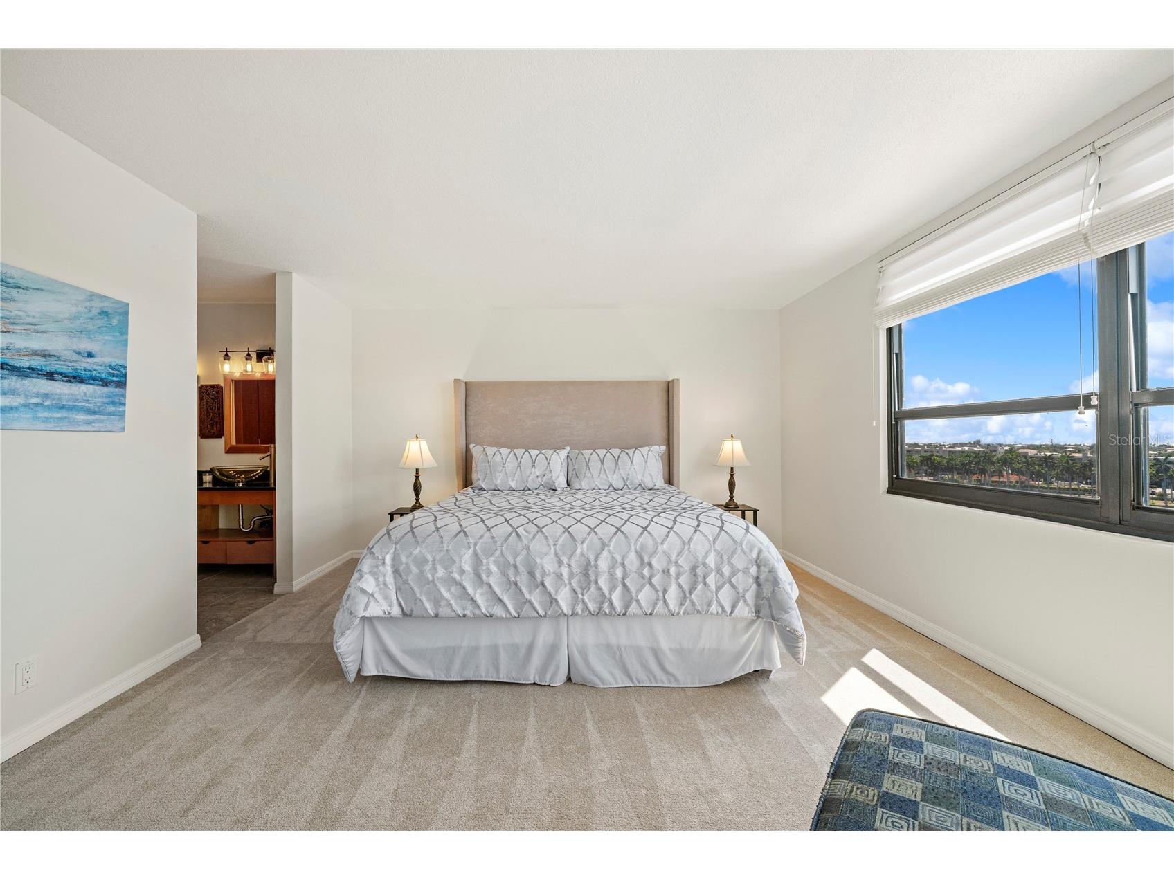 6294 Bahia Del Mar Circle #904 Saint Petersburg FL 33715 - BOCA CIEGA BAY TB8506544 image8
