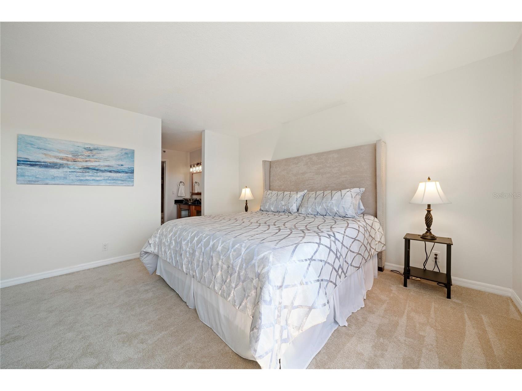 6294 Bahia Del Mar Circle #904 Saint Petersburg FL 33715 - BOCA CIEGA BAY TB8506544 image9