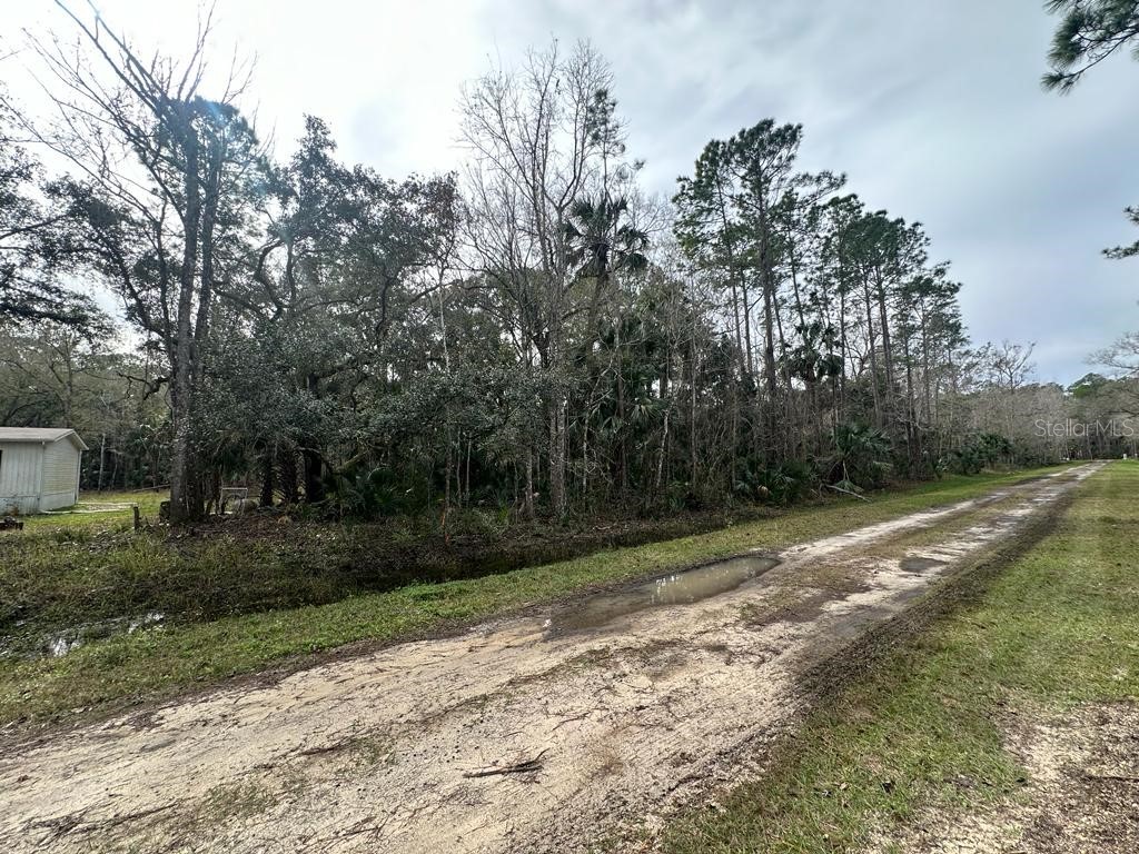 6295 Alder Avenue Bunnell FL 32110 FC296856 image1