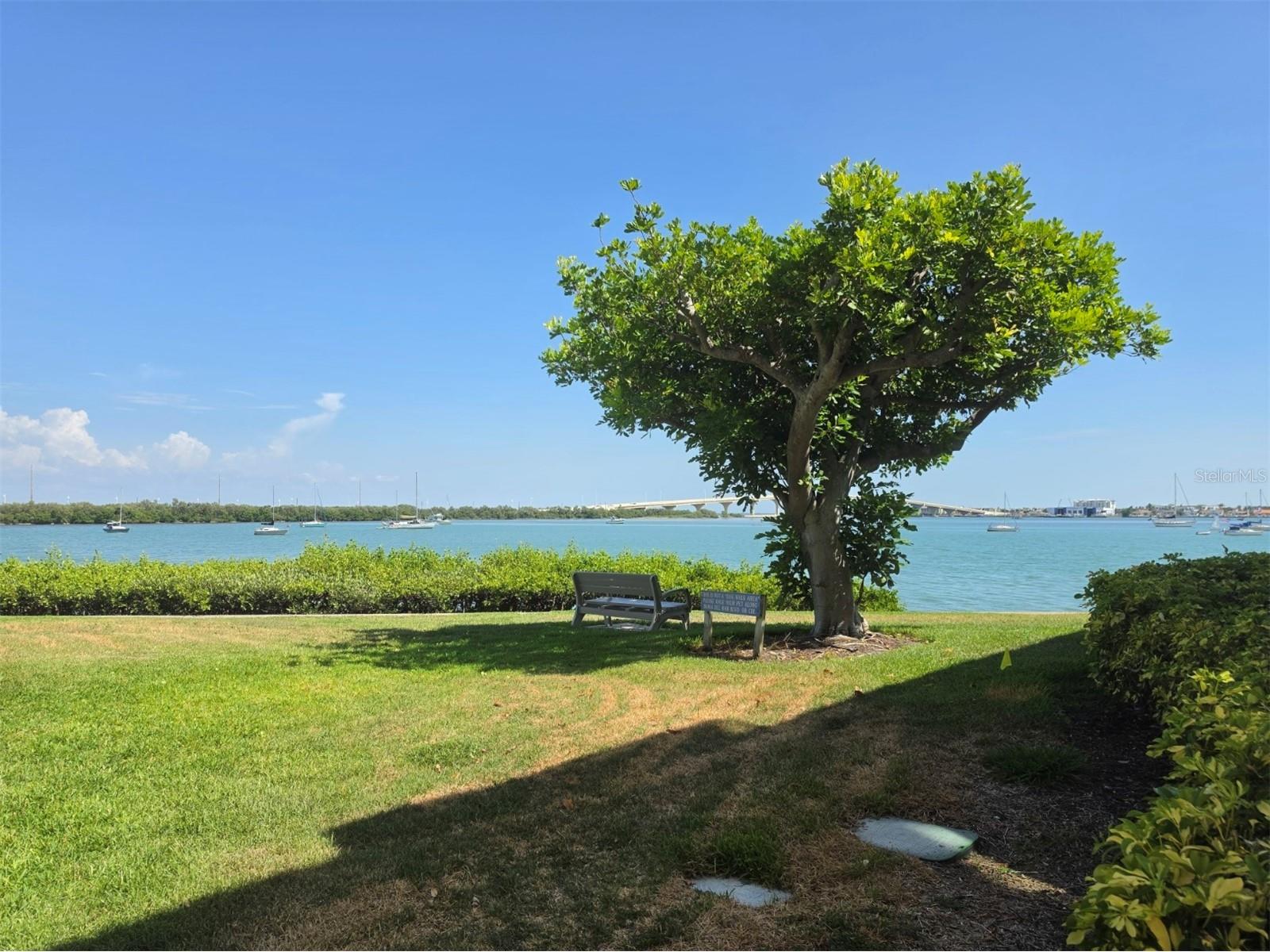 6295 Bahia Del Mar Circle #111 Saint Petersburg FL 33715 - BOCA CIEGA BAY TB8527584 image20
