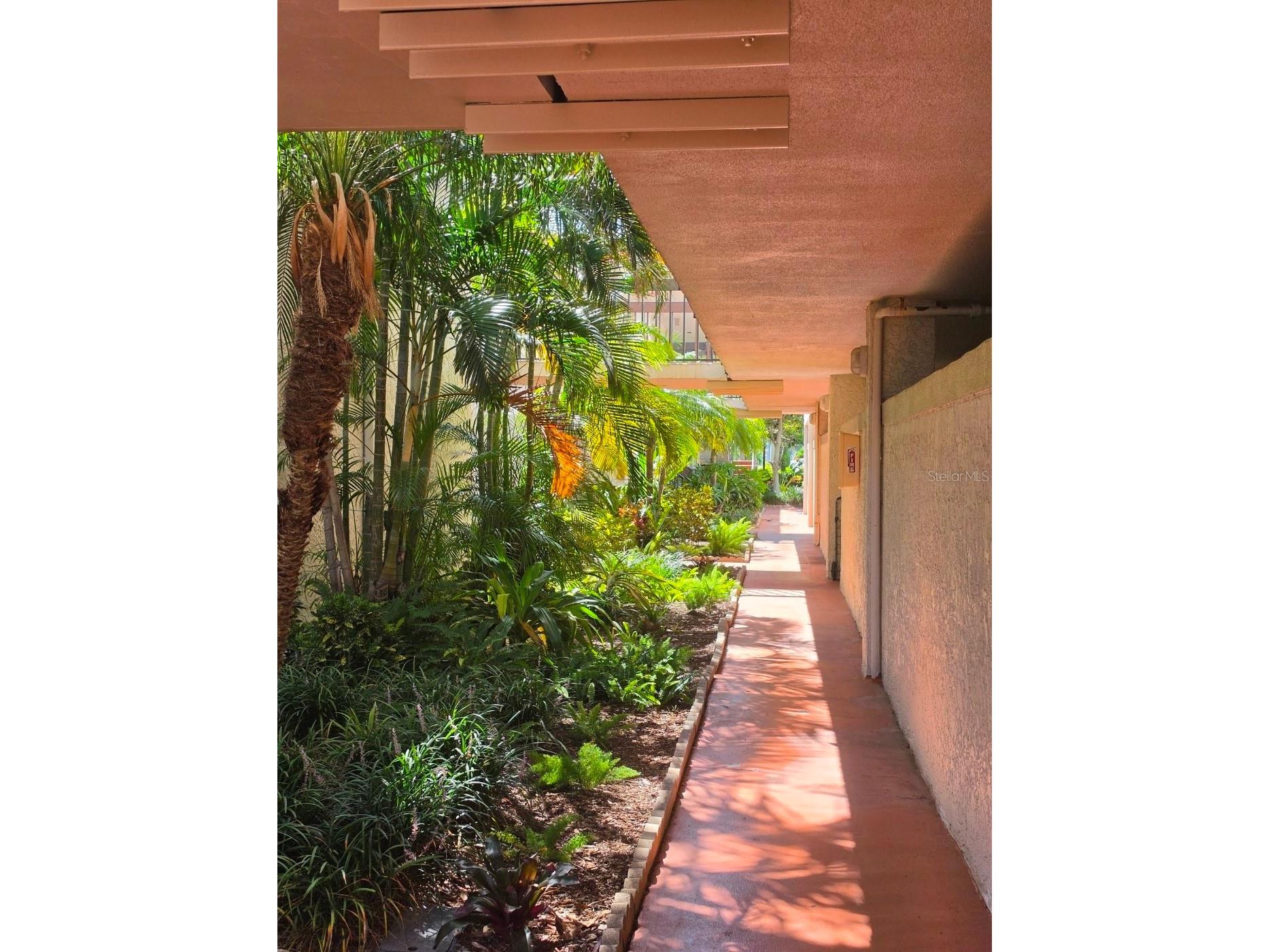 6295 Bahia Del Mar Circle #111 Saint Petersburg FL 33715 - BOCA CIEGA BAY TB8527584 image3
