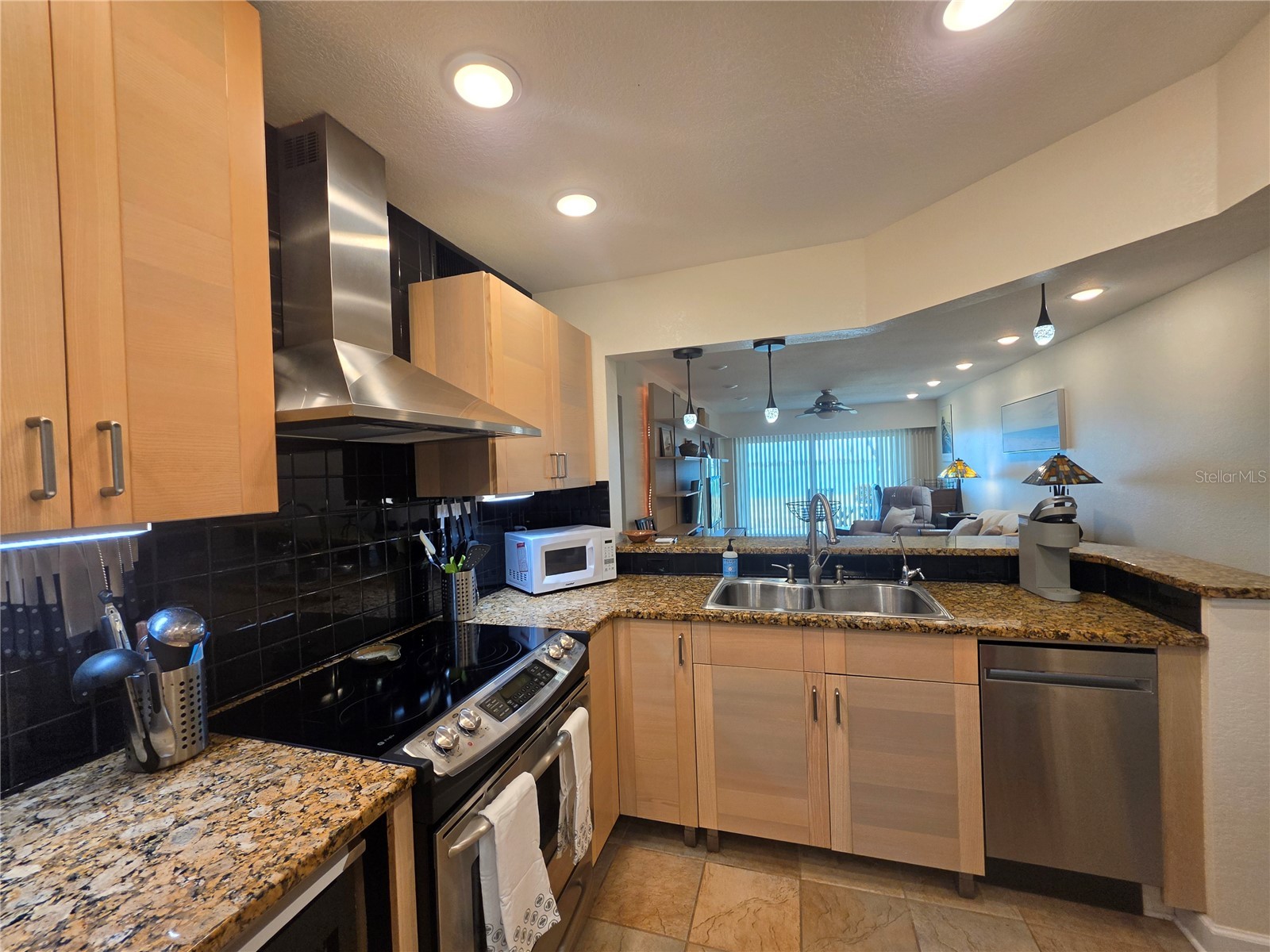 6295 Bahia Del Mar Circle #111 Saint Petersburg FL 33715 - BOCA CIEGA BAY TB8527584 image8