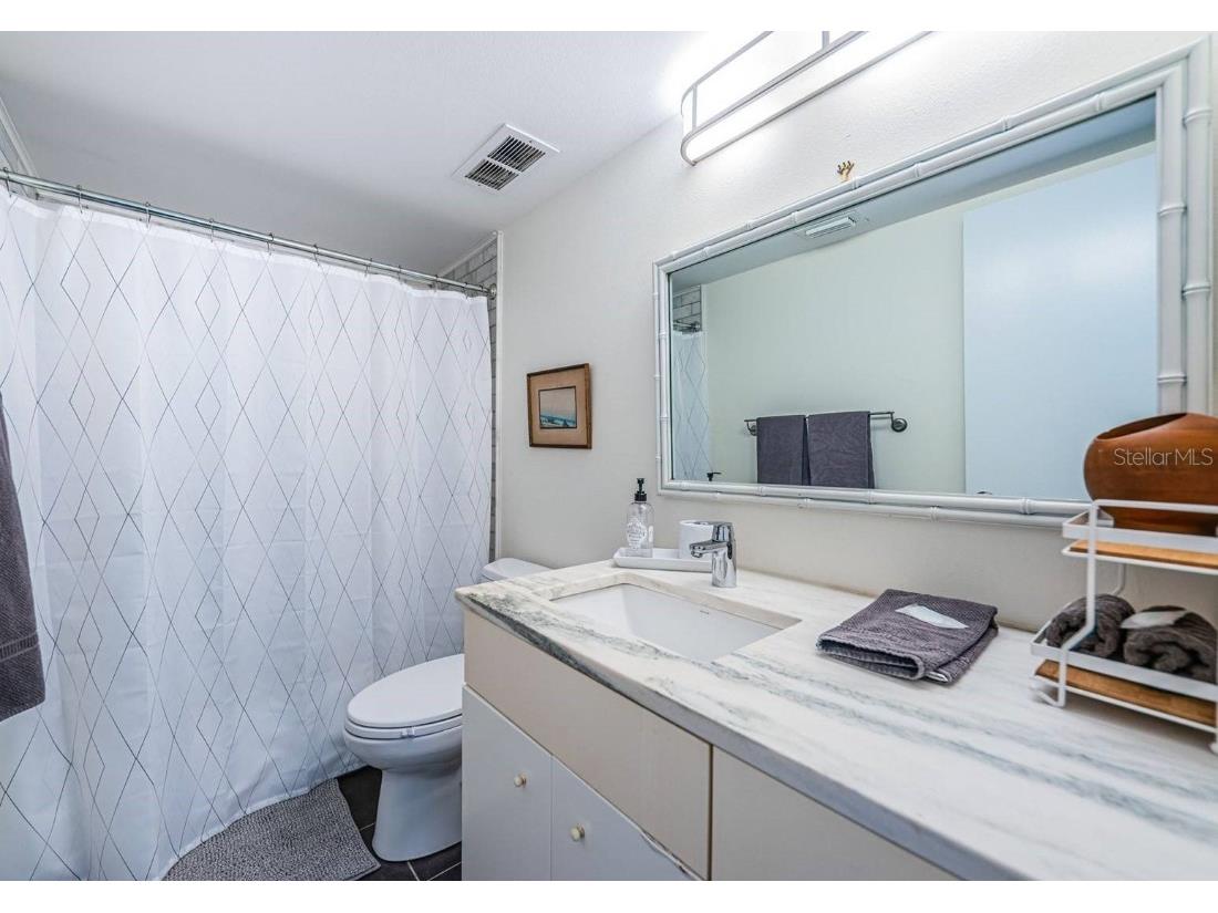 6295 Bahia Del Mar Circle #216 Saint Petersburg FL 33715 U8240429 image15