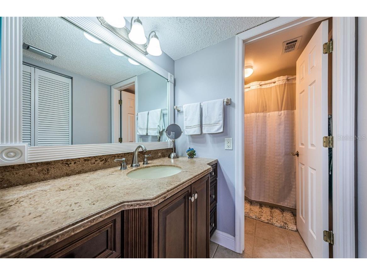 6295 Bahia Del Mar Circle #405 Saint Petersburg FL 33715 U8217631 image16