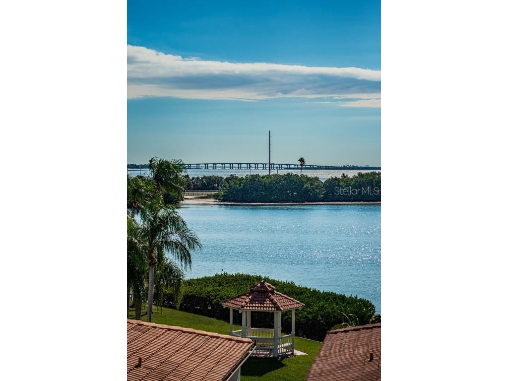 6295 Bahia Del Mar Circle #405 Saint Petersburg FL 33715 U8217631 image36