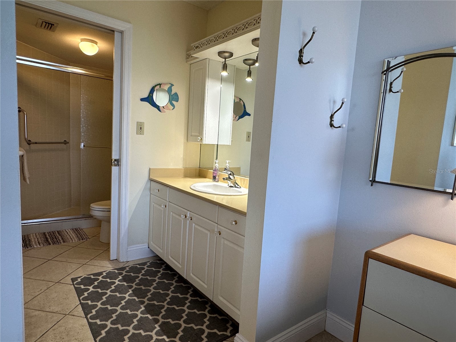6295 Bahia Del Mar Circle #408 Saint Petersburg FL 33715 TB8469623 image12