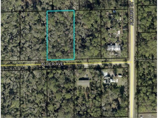 6296 Alder Avenue Bunnell FL 32110 C7525488 image1