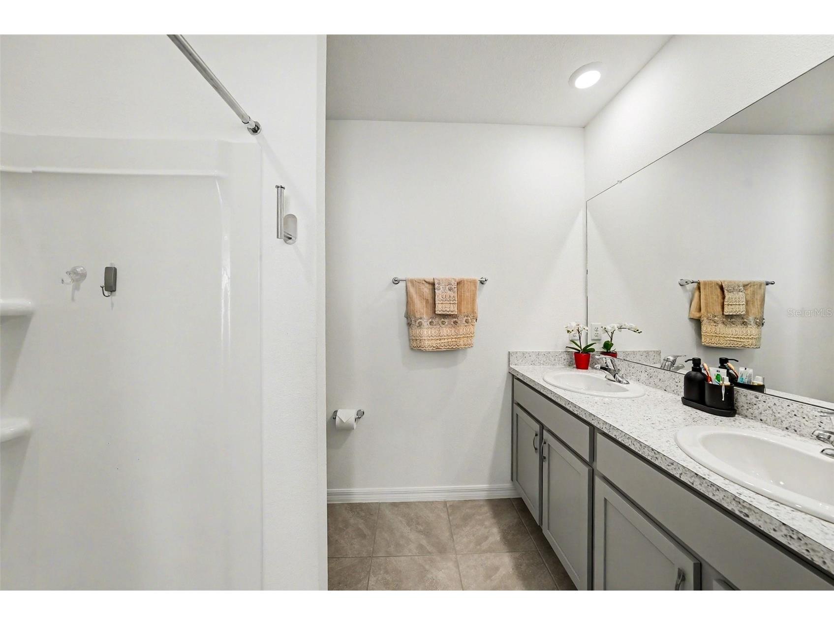 6298 Wandering Willow Drive Wesley Chapel FL 33545 TB8496581 image14
