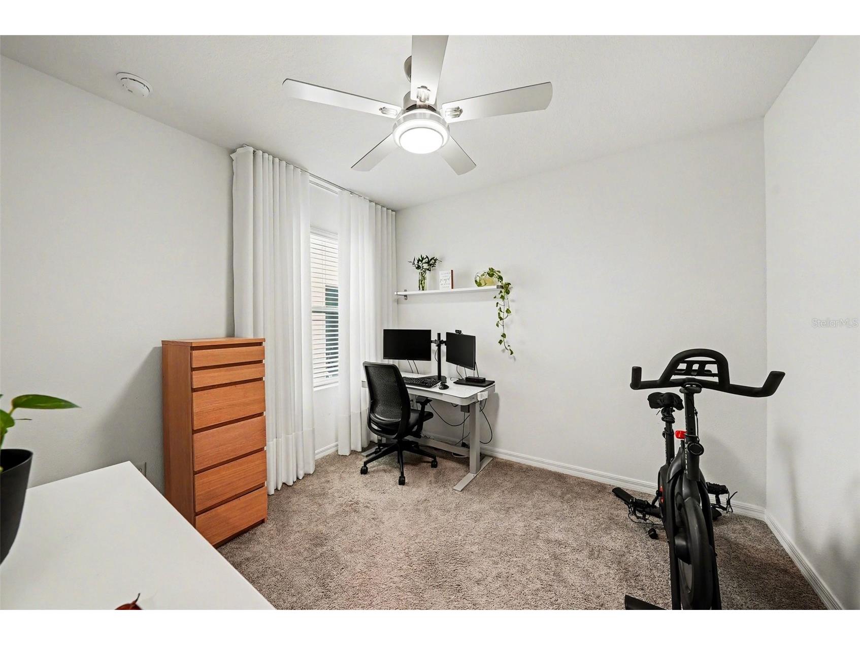 6298 Wandering Willow Drive Wesley Chapel FL 33545 TB8496581 image18