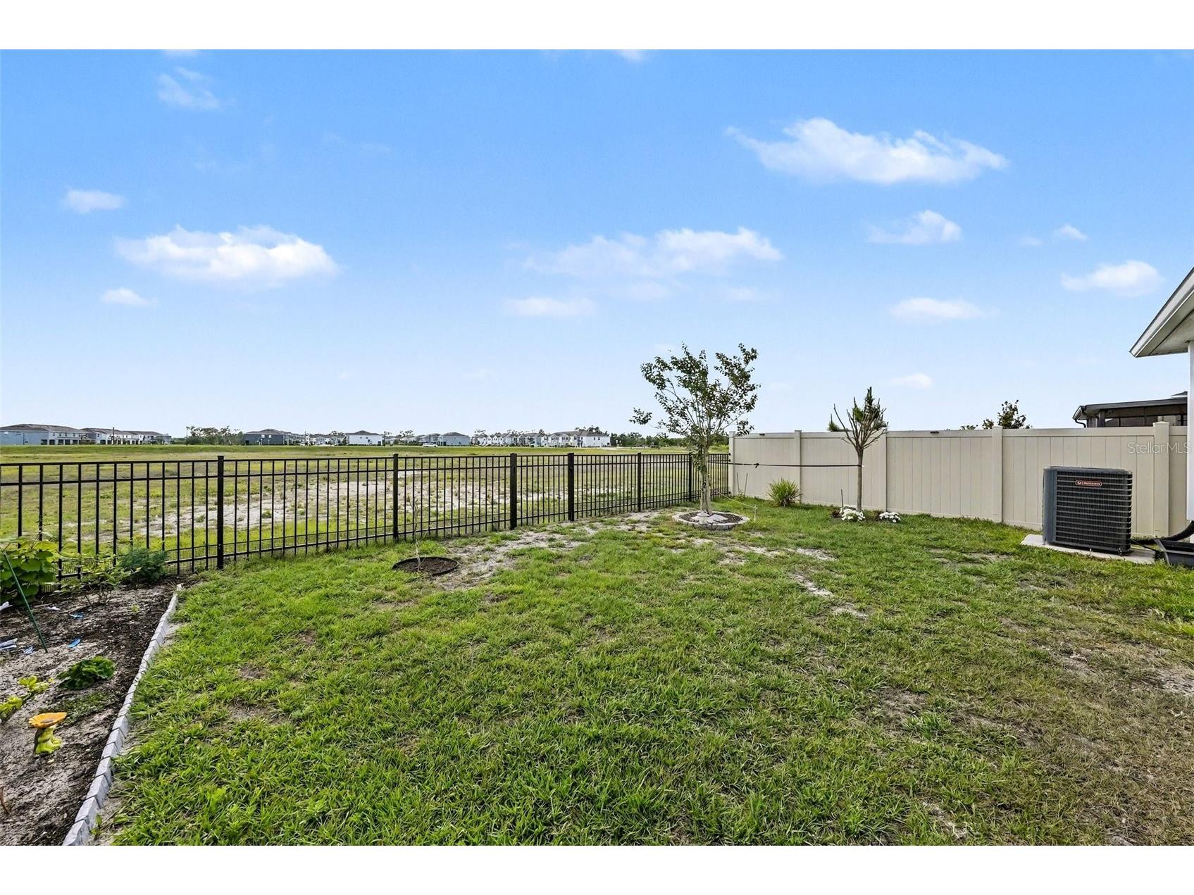 6298 Wandering Willow Drive Wesley Chapel FL 33545 TB8496581 image20