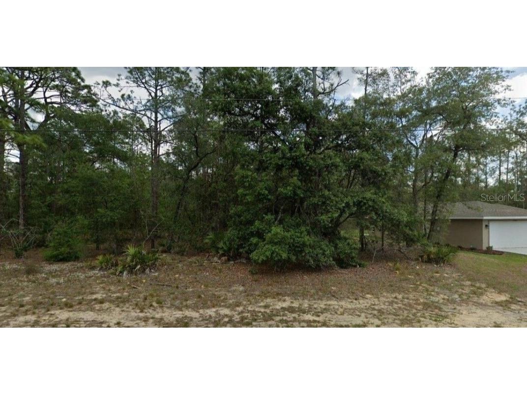 6299 N Allston Terrace N Dunnellon FL 34433 O6324874 image1