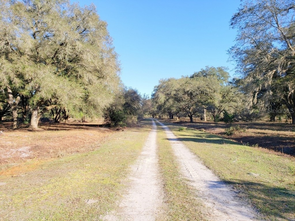 62ac NE 130th Ct Rd Fort Mc Coy FL 32134 - PRIVATE PONDS OM659885 image1