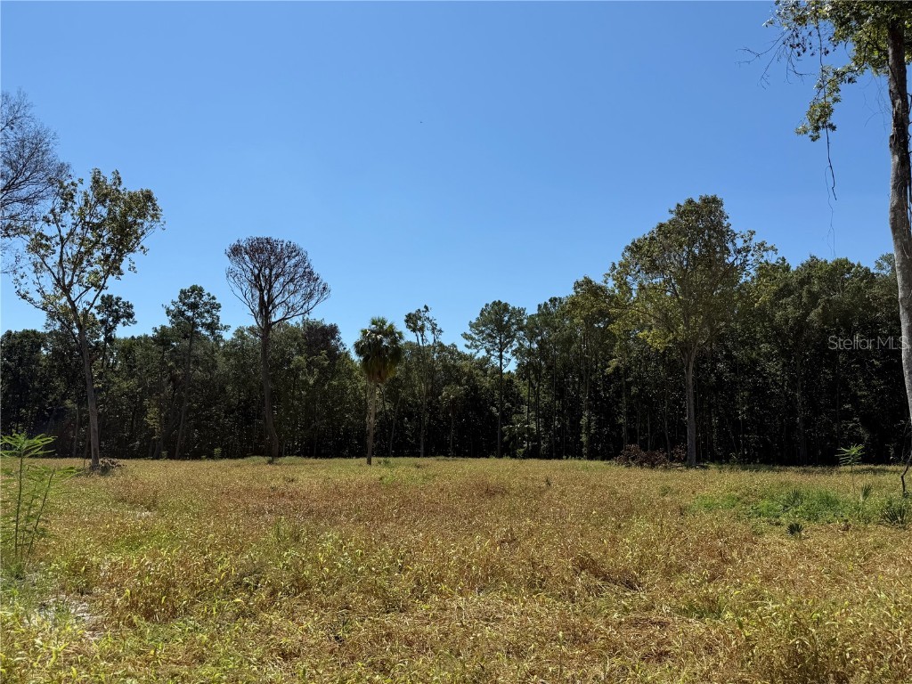 62ac NW 193rd St Micanopy FL 32667 OM688556 image2
