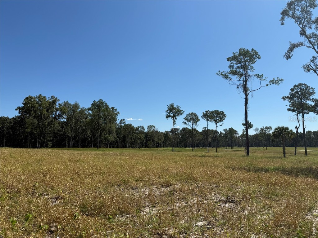 62ac NW 193rd St Micanopy FL 32667 OM688556 image7