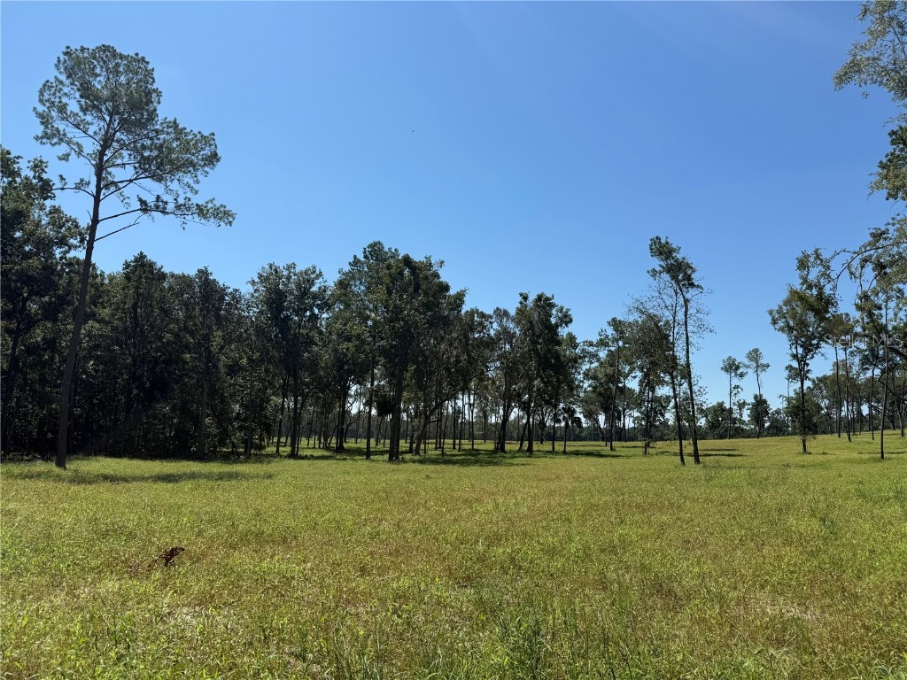 62ac NW 193rd St Micanopy FL 32667 OM688556 image8