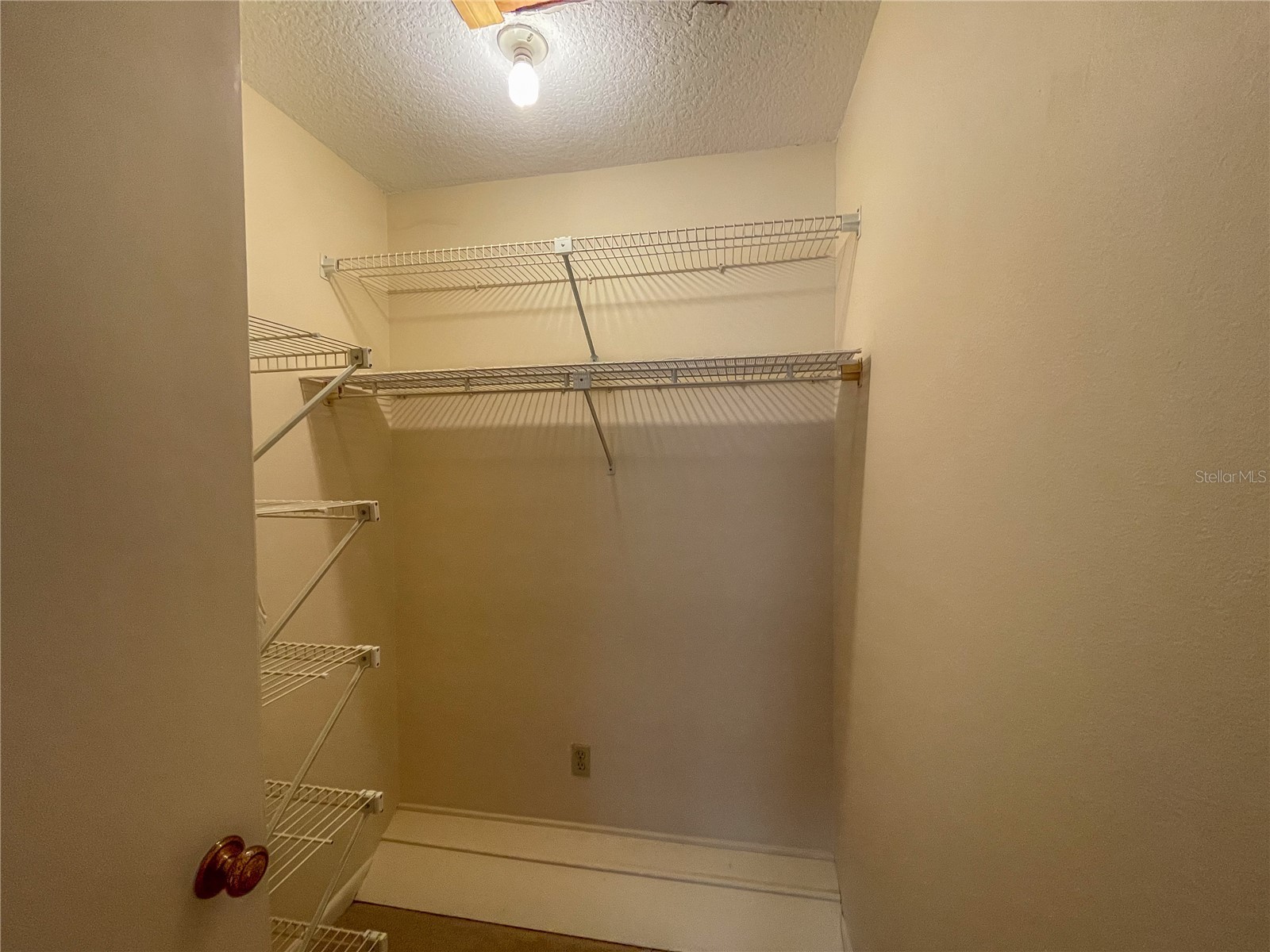 63 Douglas Street #11 Homosassa FL 34446 OM725432 image21