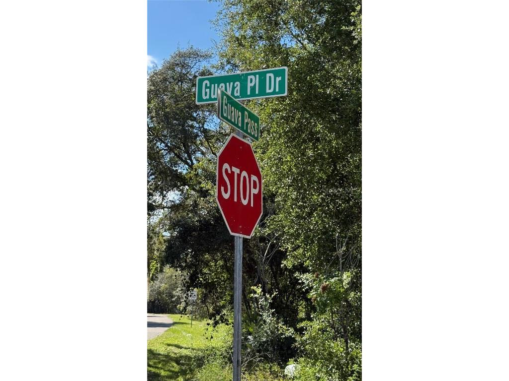 63 Guava Place Drive Ocklawaha FL 32179 OM708819 image4