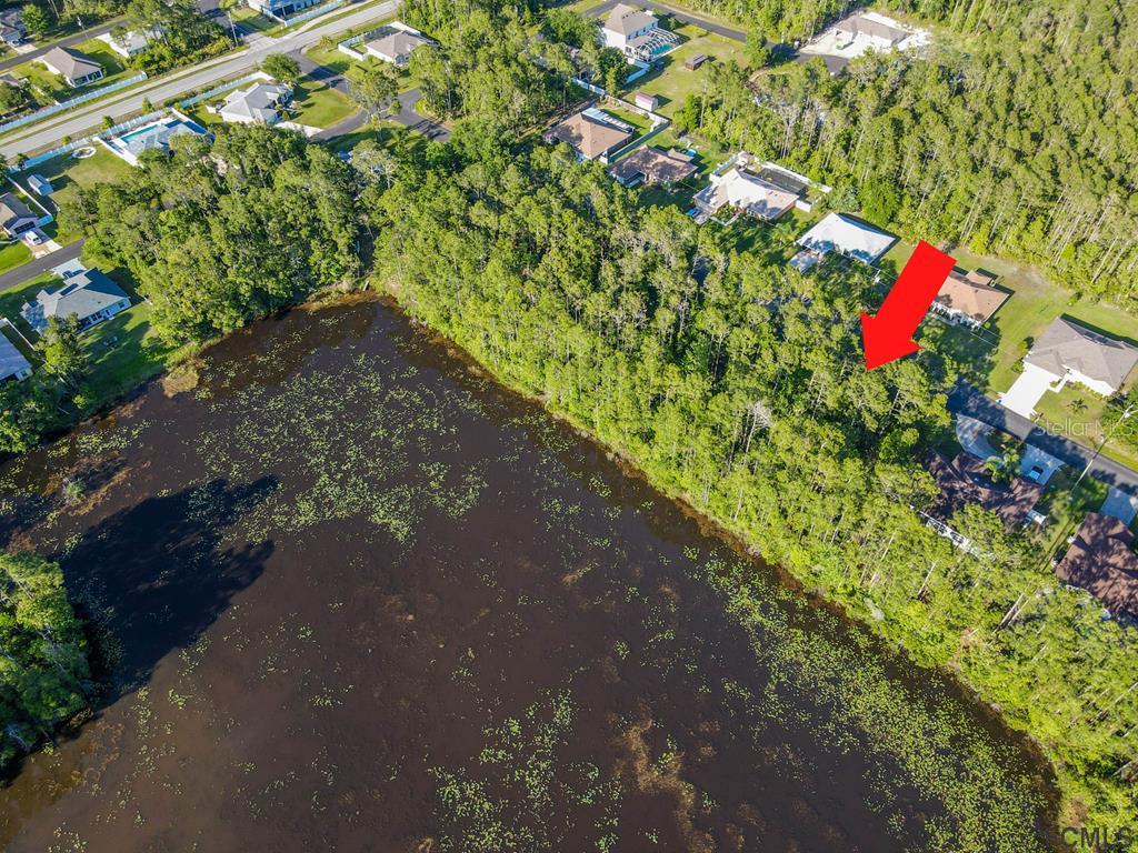 63 Kathleen Trail Palm Coast FL 32164 FC276129 image2