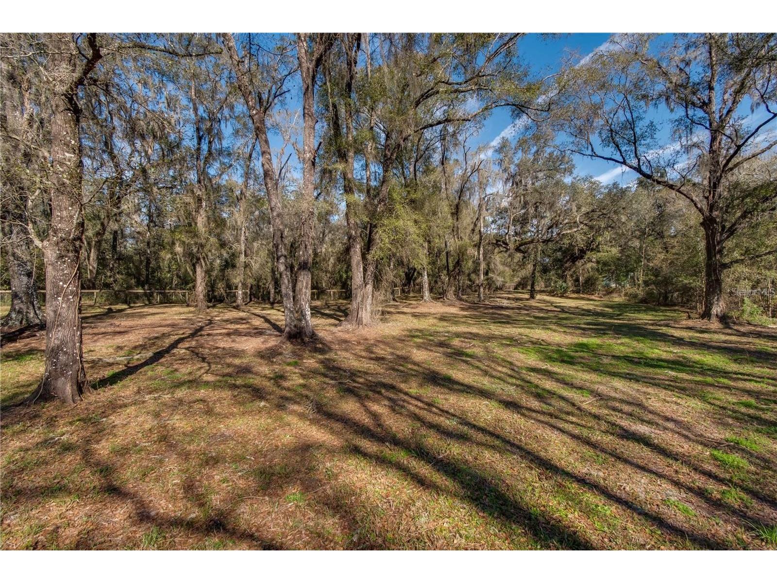 63 Lake Wood Circle Ocala FL 34482 O6392613 image4