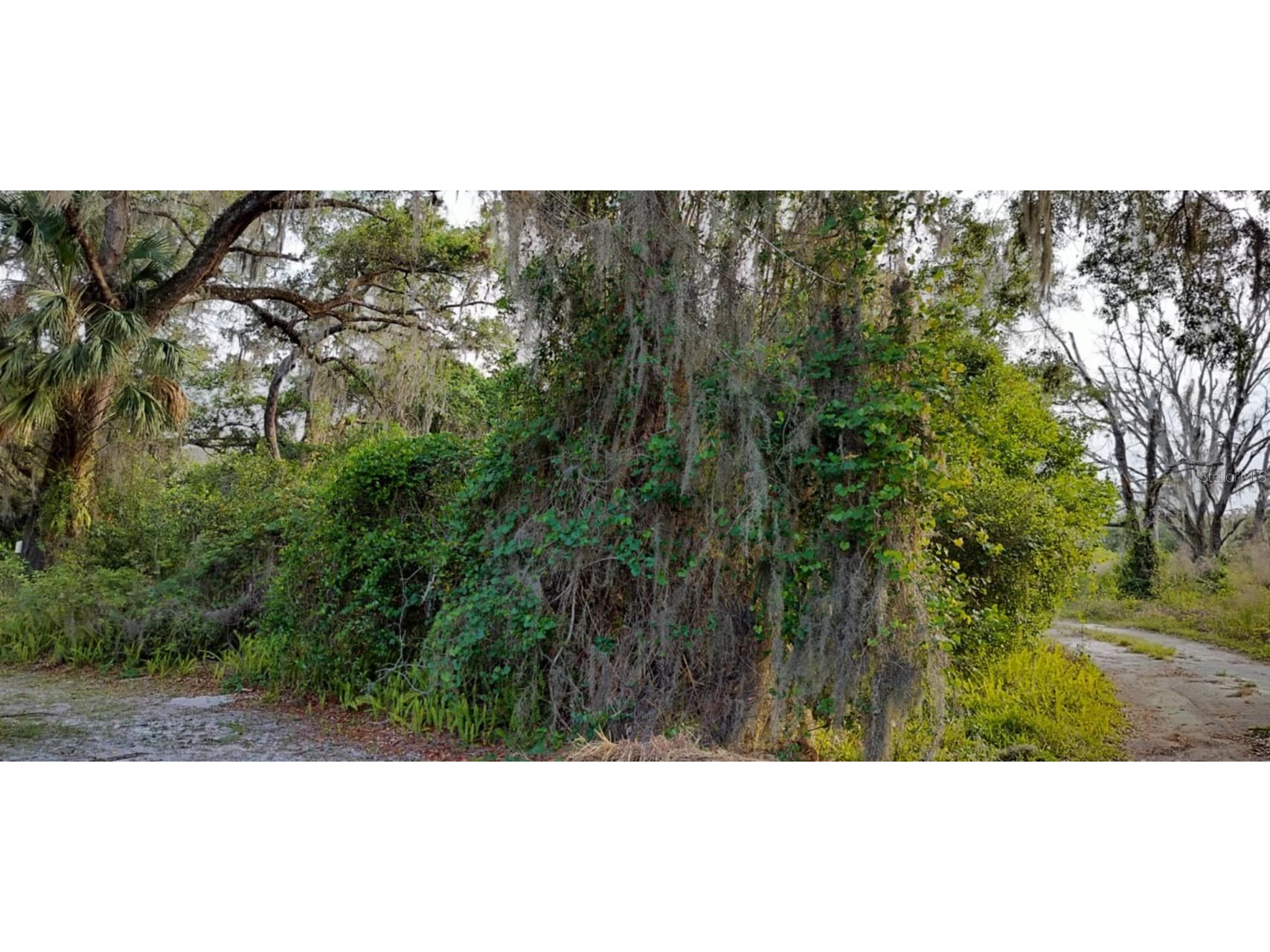 63 N Sheltering Oaks Drive Inverness FL 34453 TB8384607 image1