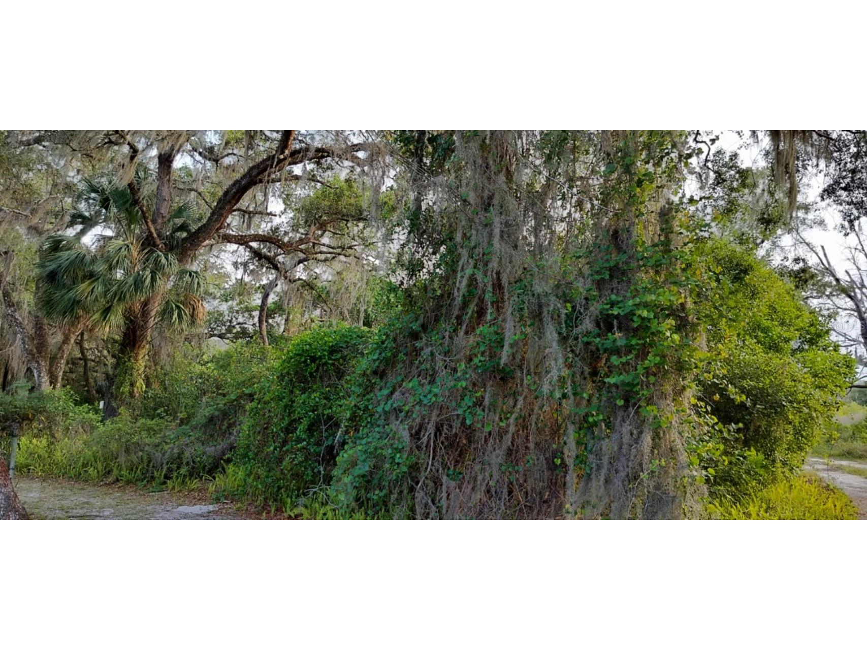 63 N Sheltering Oaks Drive Inverness FL 34453 TB8384607 image10