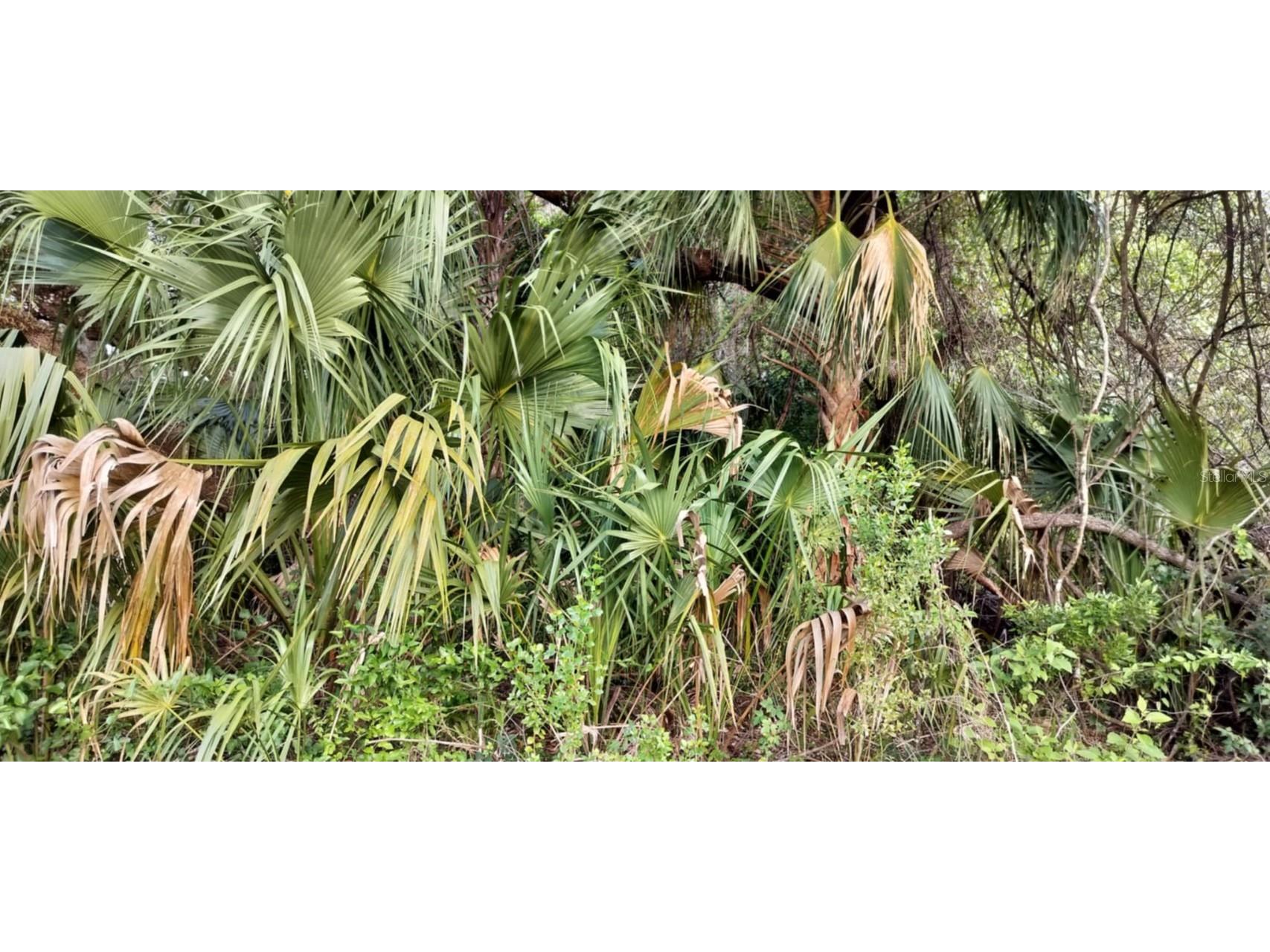 63 N Sheltering Oaks Drive Inverness FL 34453 TB8384607 image14