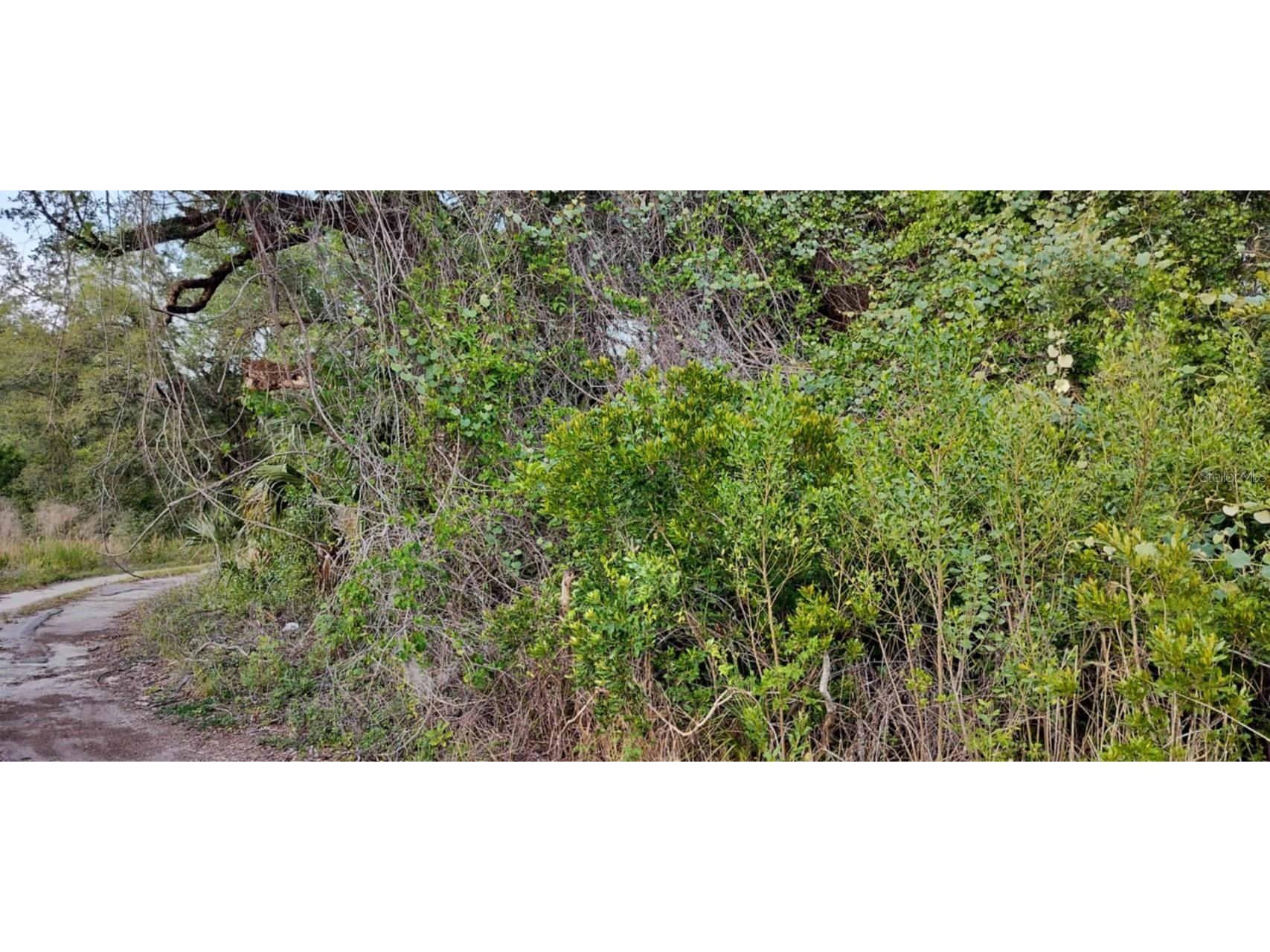 63 N Sheltering Oaks Drive Inverness FL 34453 TB8384607 image16