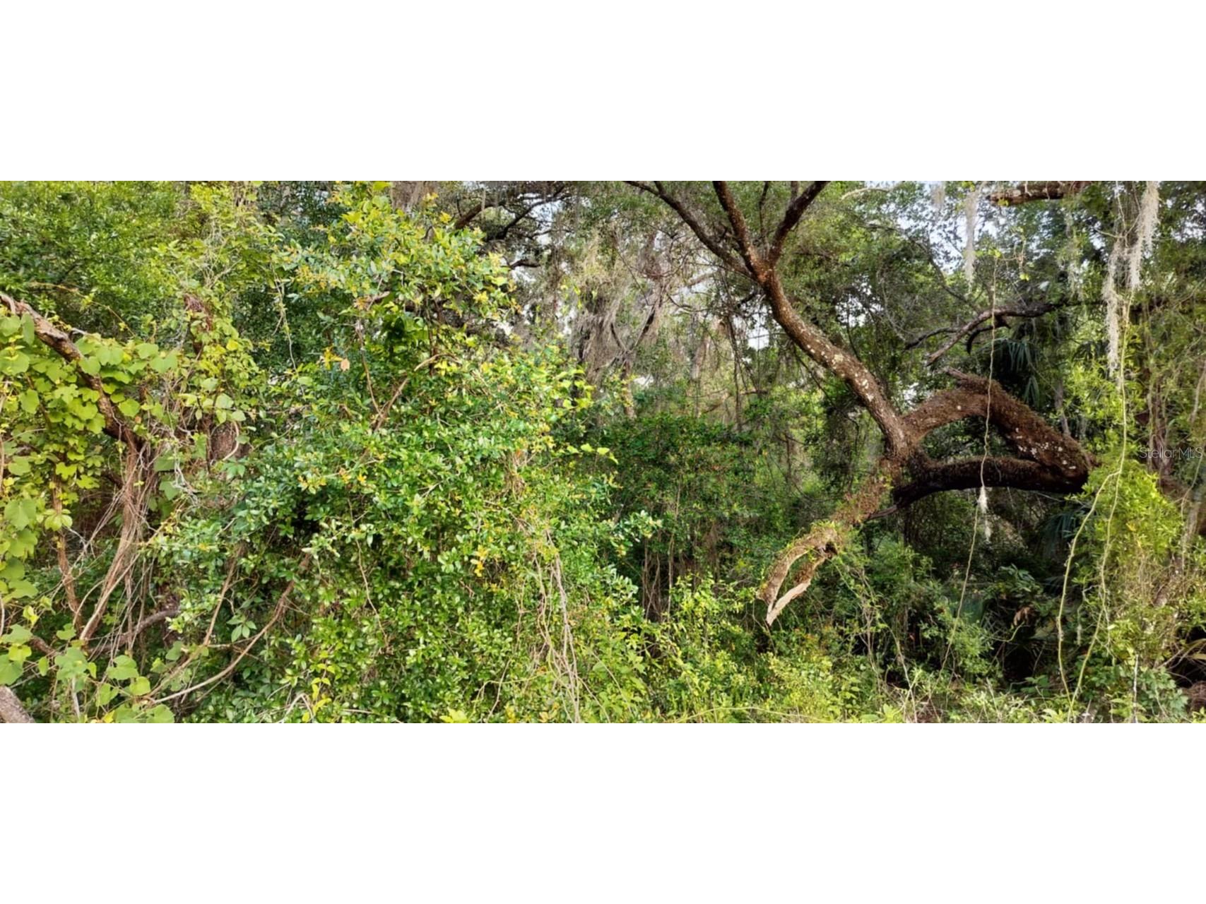 63 N Sheltering Oaks Drive Inverness FL 34453 TB8384607 image18