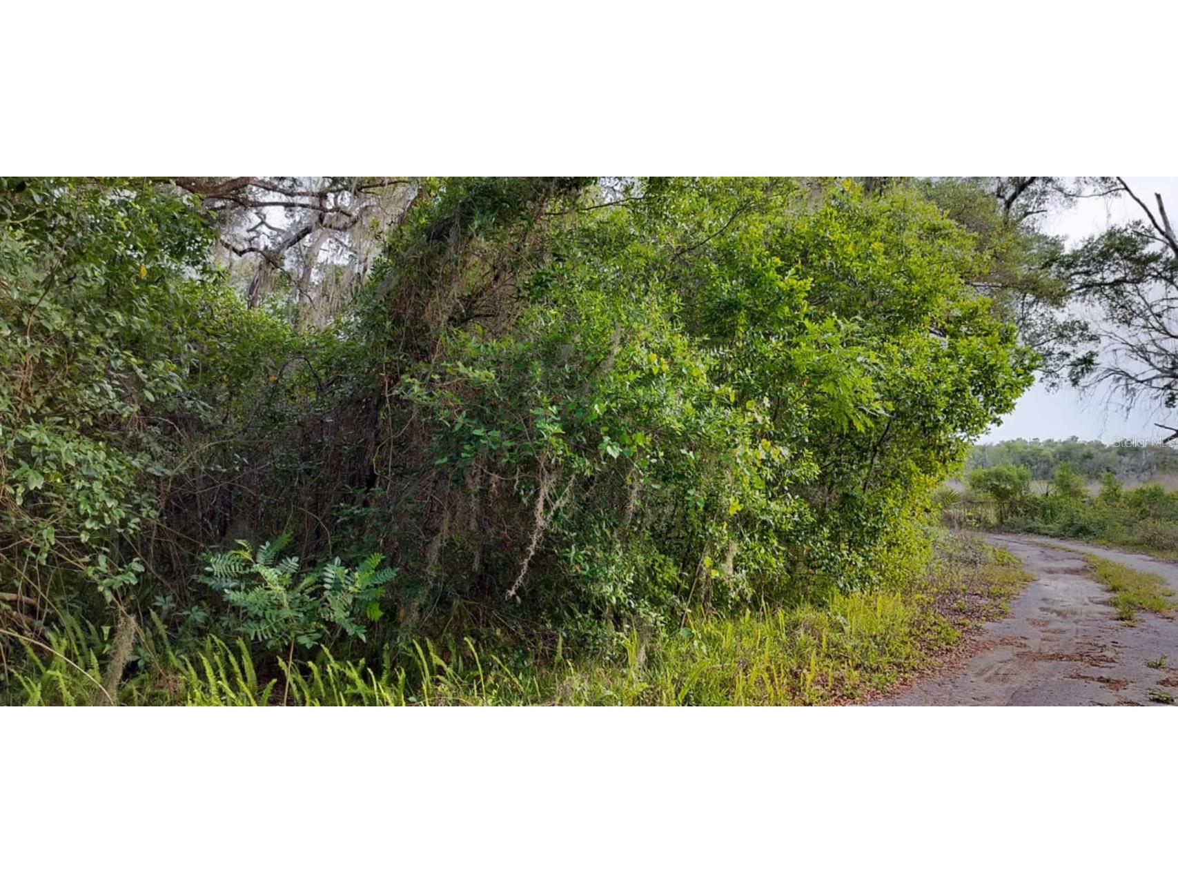 63 N Sheltering Oaks Drive Inverness FL 34453 TB8384607 image19