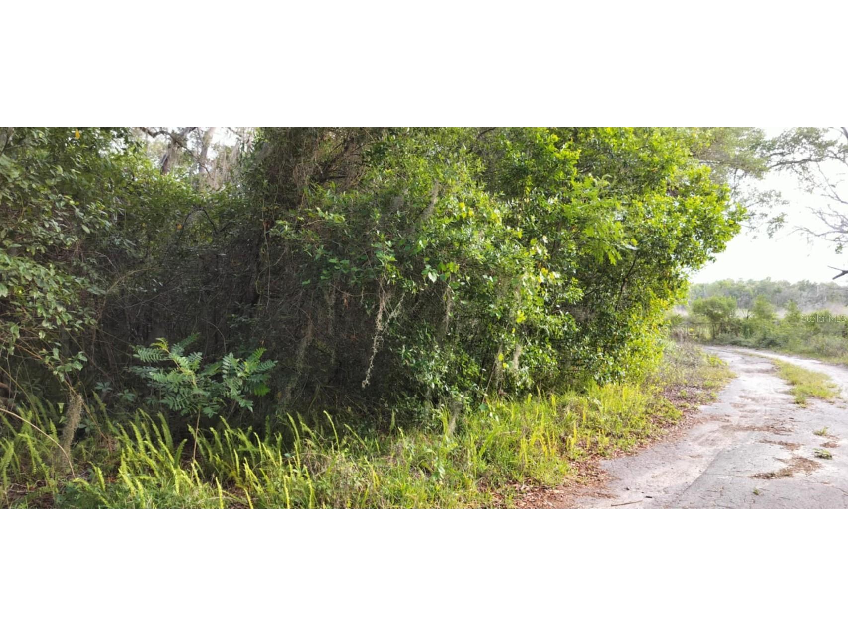 63 N Sheltering Oaks Drive Inverness FL 34453 TB8384607 image2