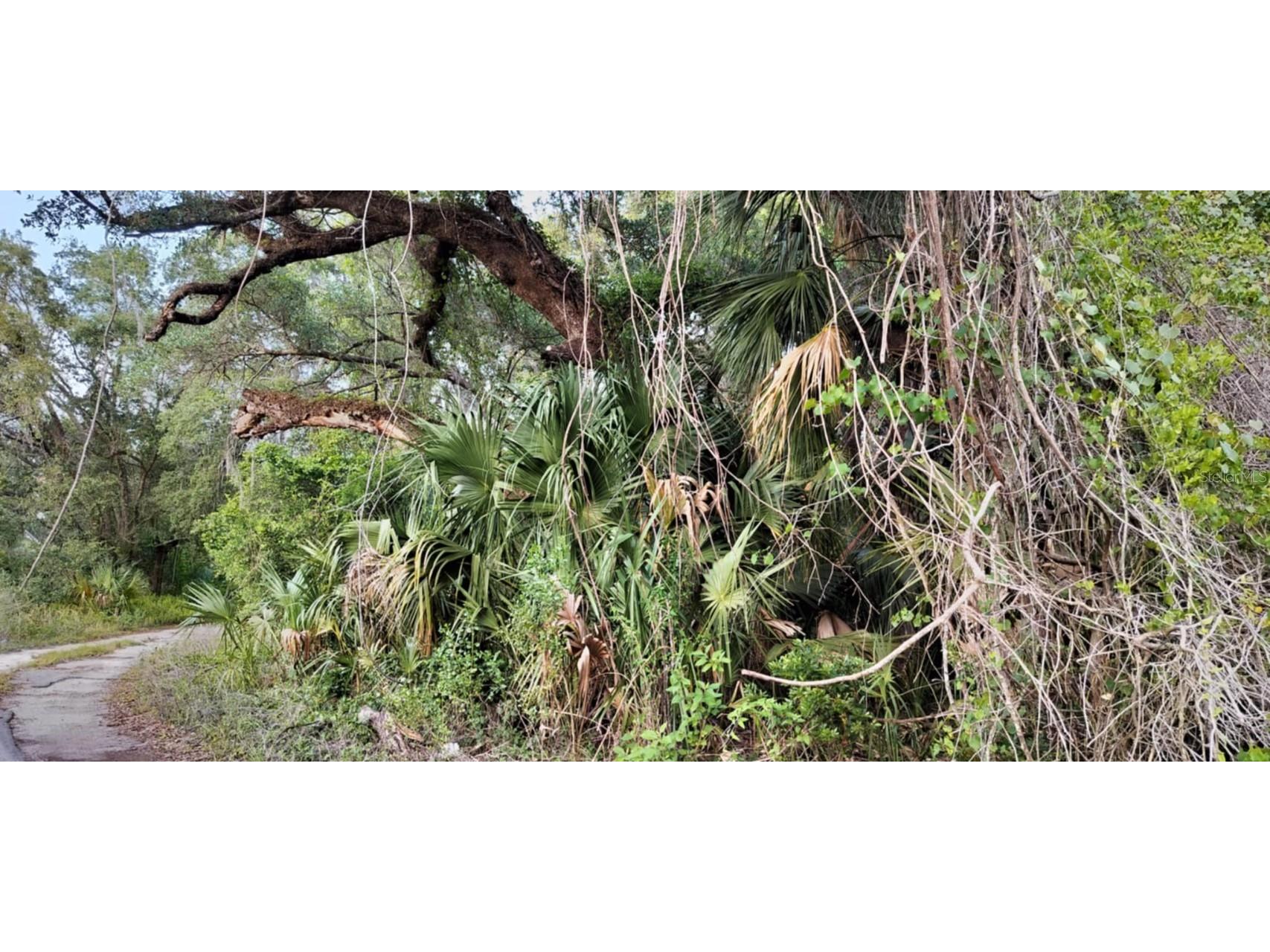 63 N Sheltering Oaks Drive Inverness FL 34453 TB8384607 image21