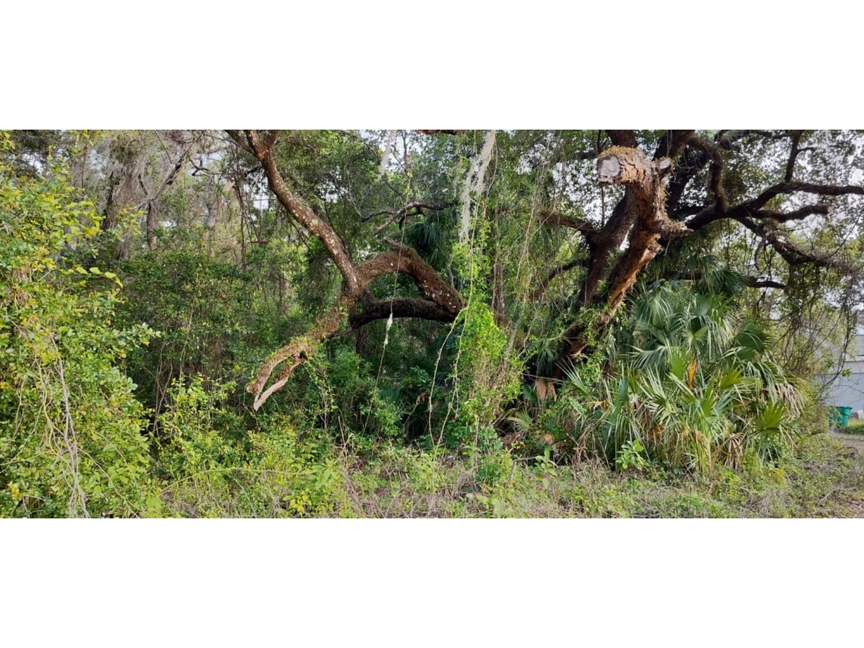 63 N Sheltering Oaks Drive Inverness FL 34453 TB8384607 image22