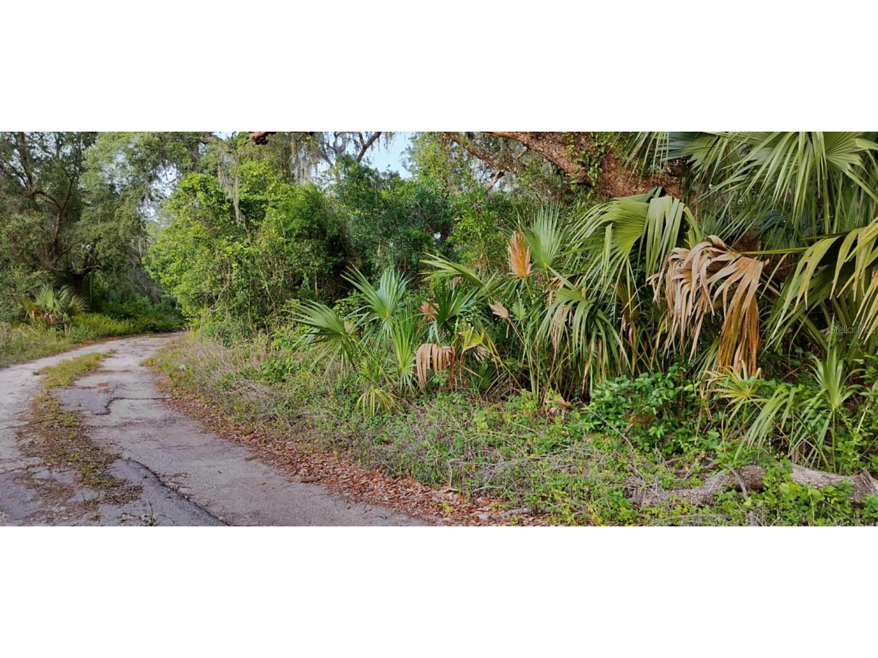 63 N Sheltering Oaks Drive Inverness FL 34453 TB8384607 image3