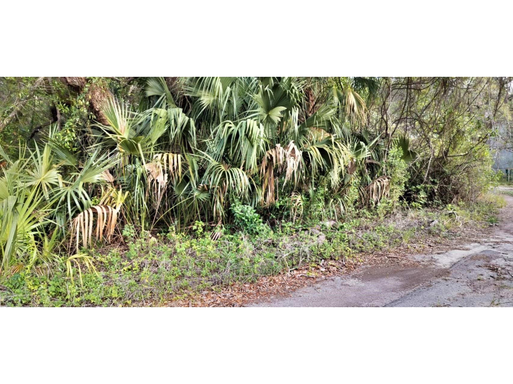 63 N Sheltering Oaks Drive Inverness FL 34453 TB8384607 image6