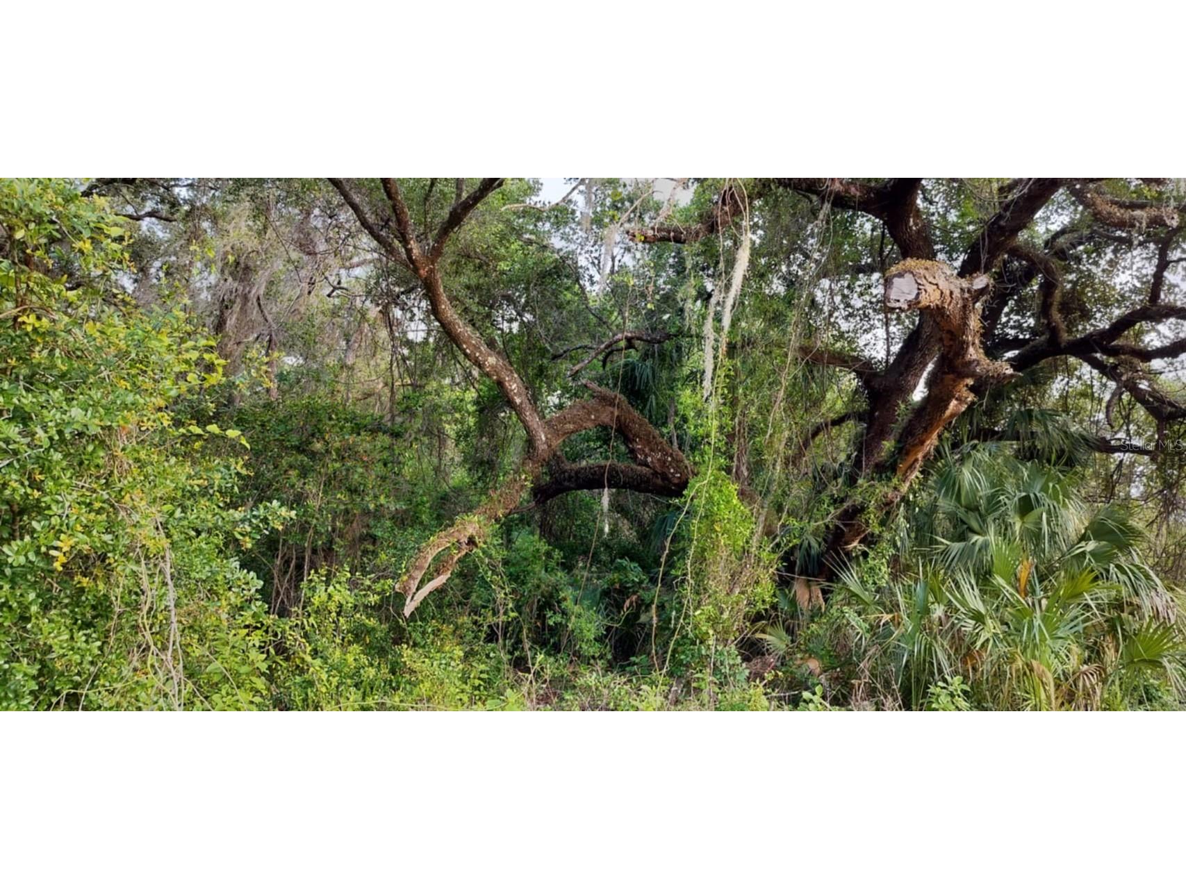 63 N Sheltering Oaks Drive Inverness FL 34453 TB8384607 image7