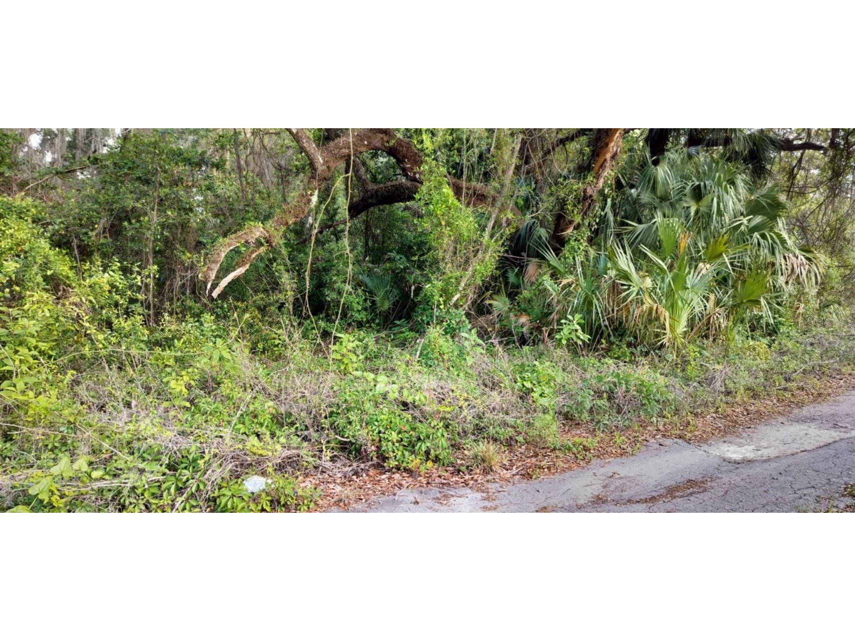 63 N Sheltering Oaks Drive Inverness FL 34453 TB8384607 image9