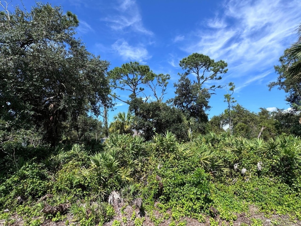 63 Stanhope Street Port Charlotte FL 33954 TB8307925 image1