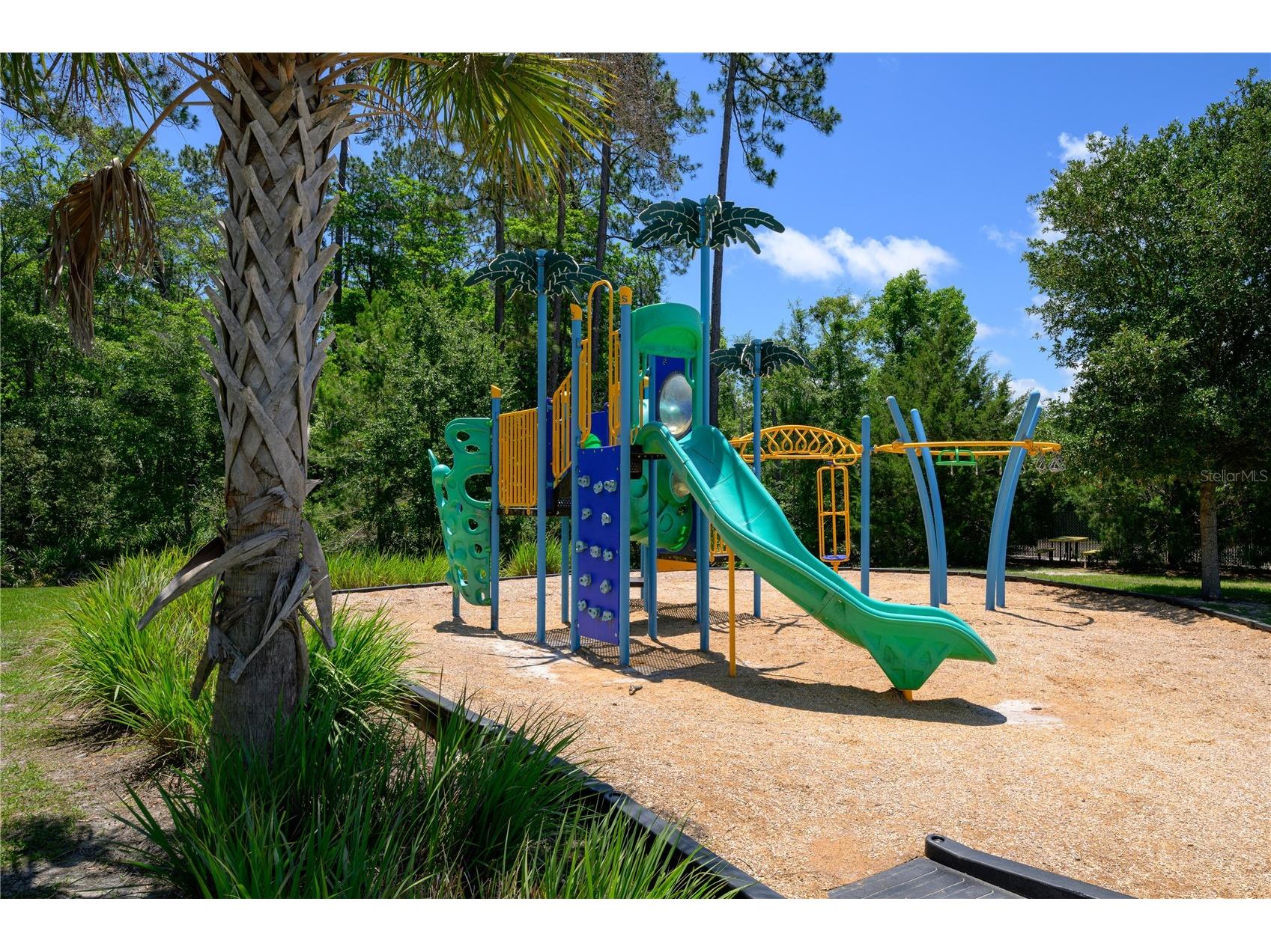 63 Sweet Mango Trail Saint Augustine FL 32086 FC318710 image26