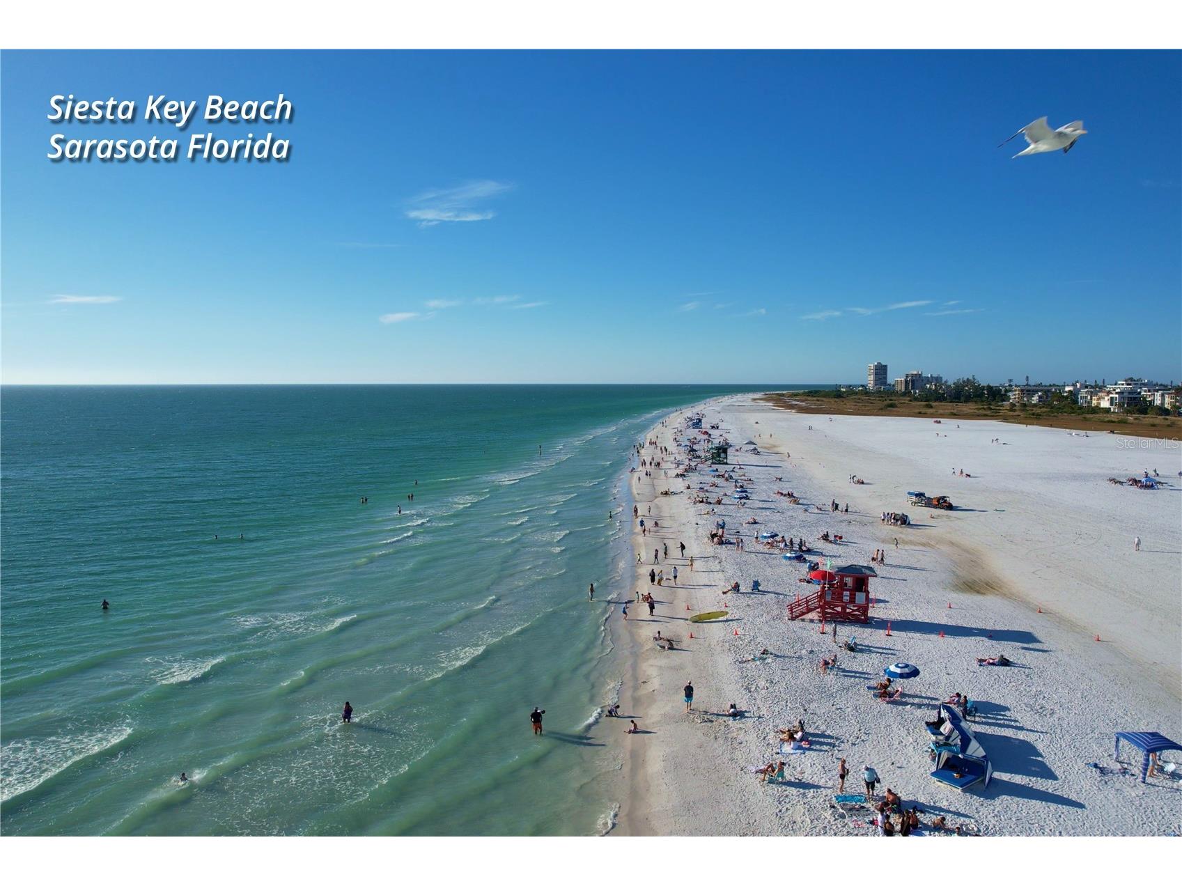 630 Corwood Drive Sarasota FL 34234 A4690643 image69