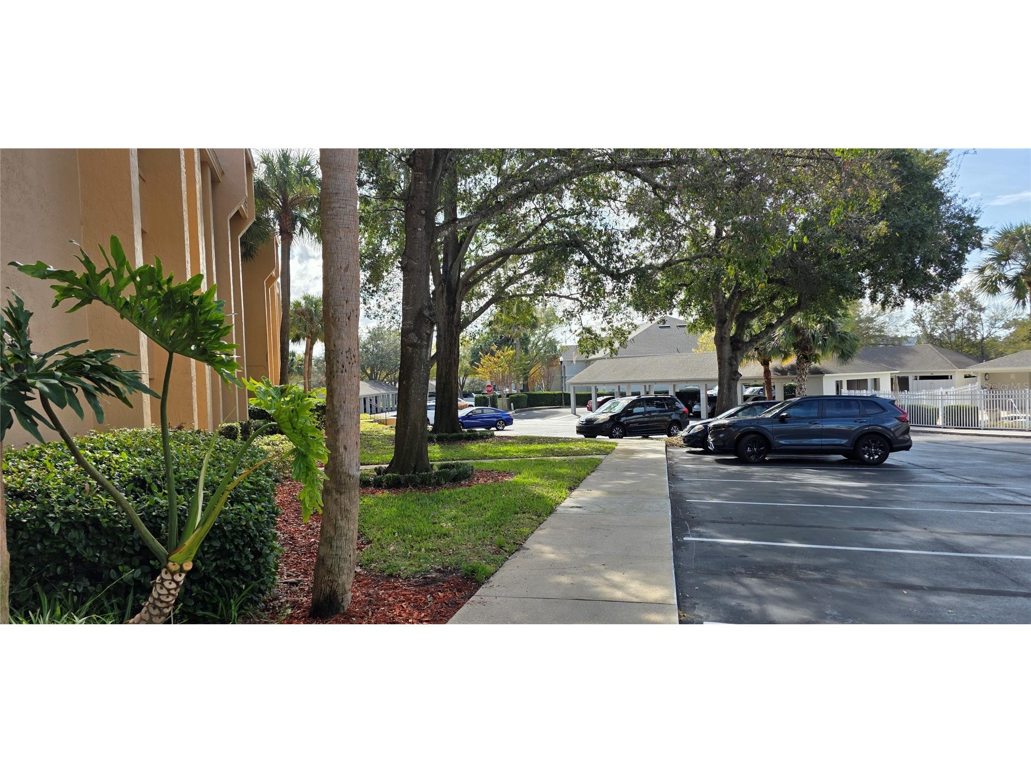 630 Cranes Way #203 Altamonte Springs FL 32701 O6379716 image16
