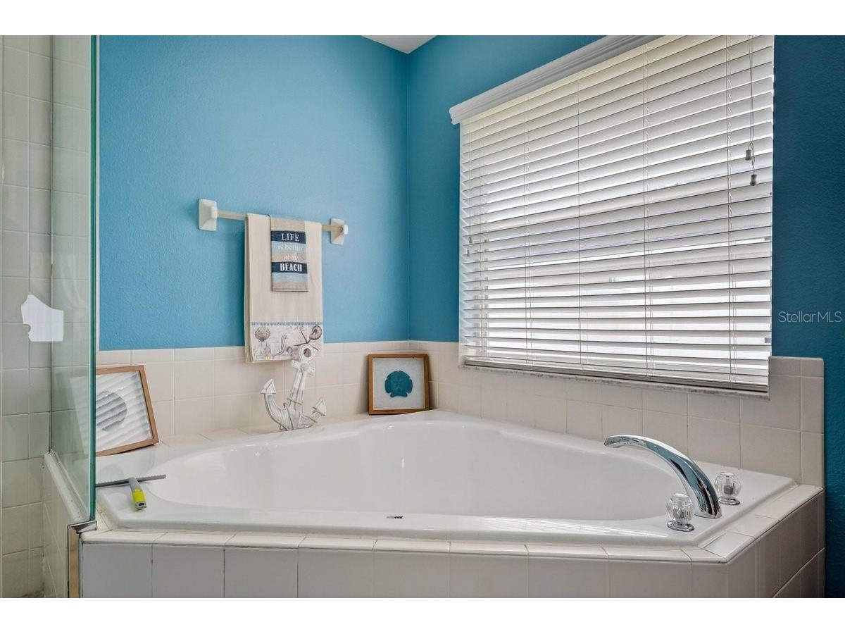 630 Fawn Ridge Drive Orange City FL 32763 NS1087666 image32